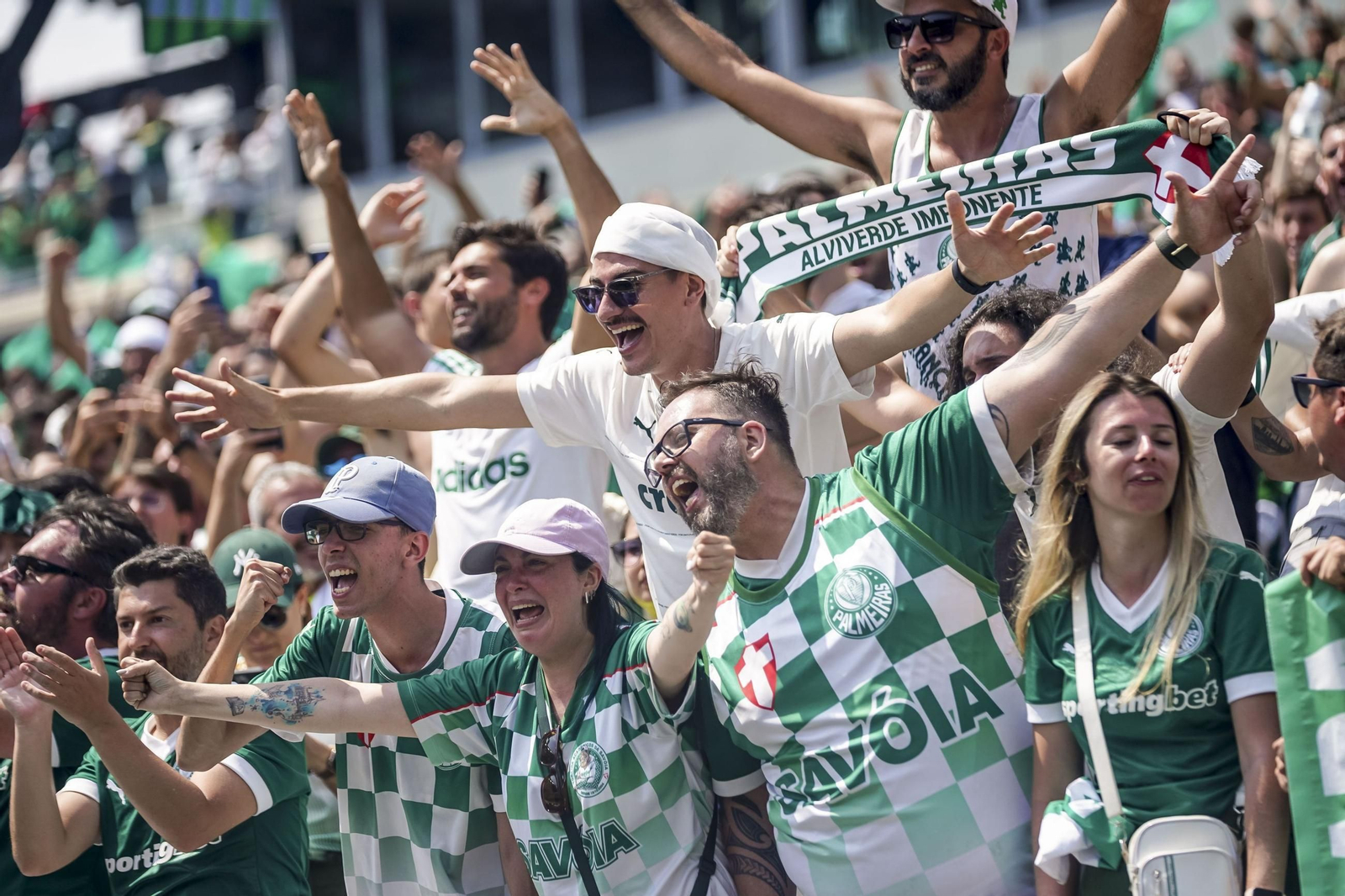 Palmeiras-Botafogo (45).jpg