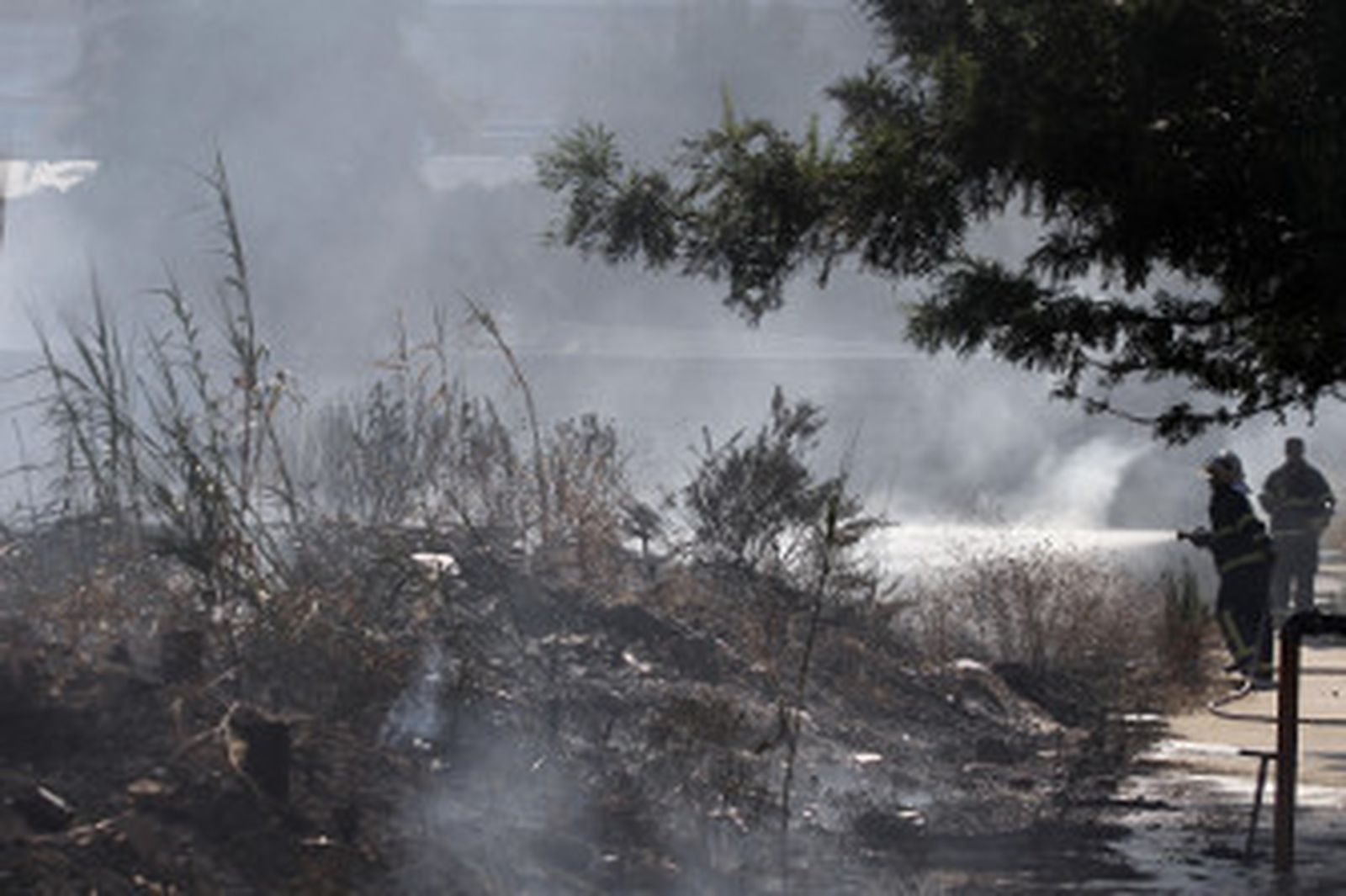 Imagen del incendio que tuvo lugar el pasado martes en El Acebuchal/Andrés Carrasco