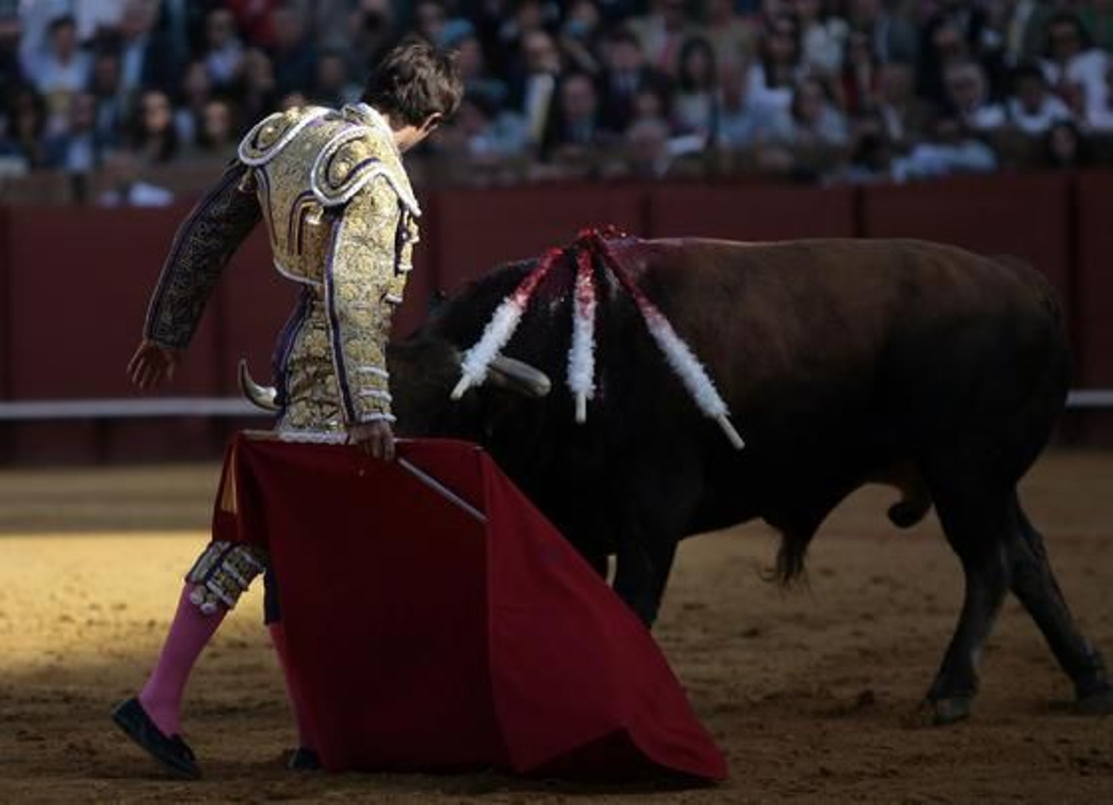 Foto: Juan Carlos Muñoz