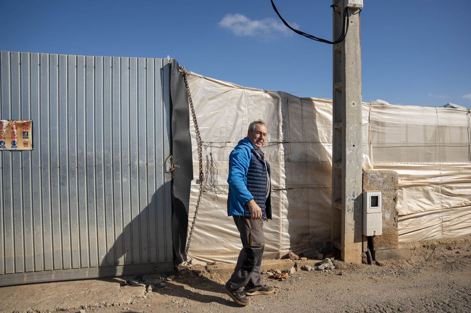 La primavera se planta en invierno entre sandías y tomates almerienses