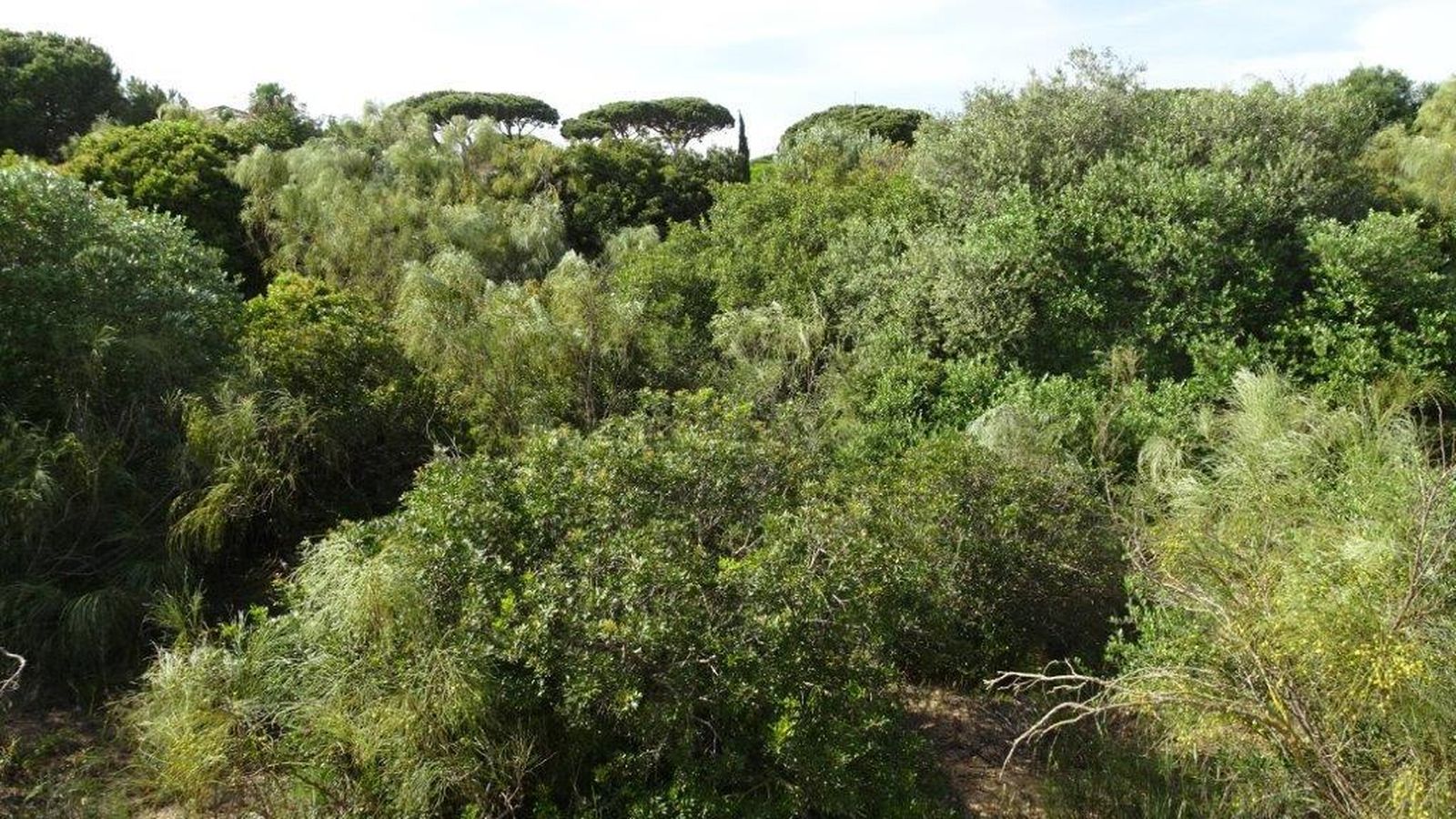 Una imagen tomada desde el interior de la finca.