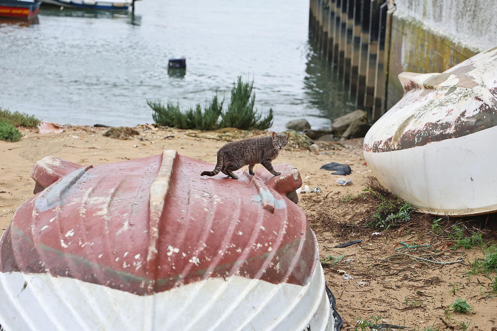 Las imágenes más destacadas del viernes 28 de febrero en Huelva