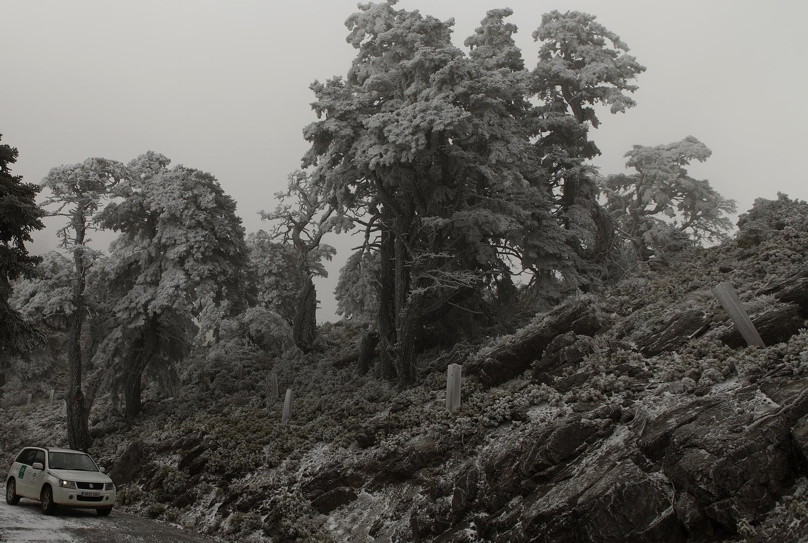 La Sierra de las Nieves, en fotos