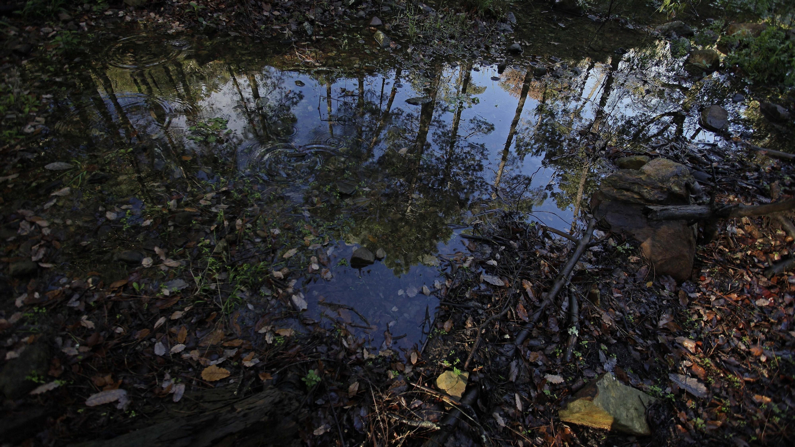 Sendero de la finca Murta en Los Barrios