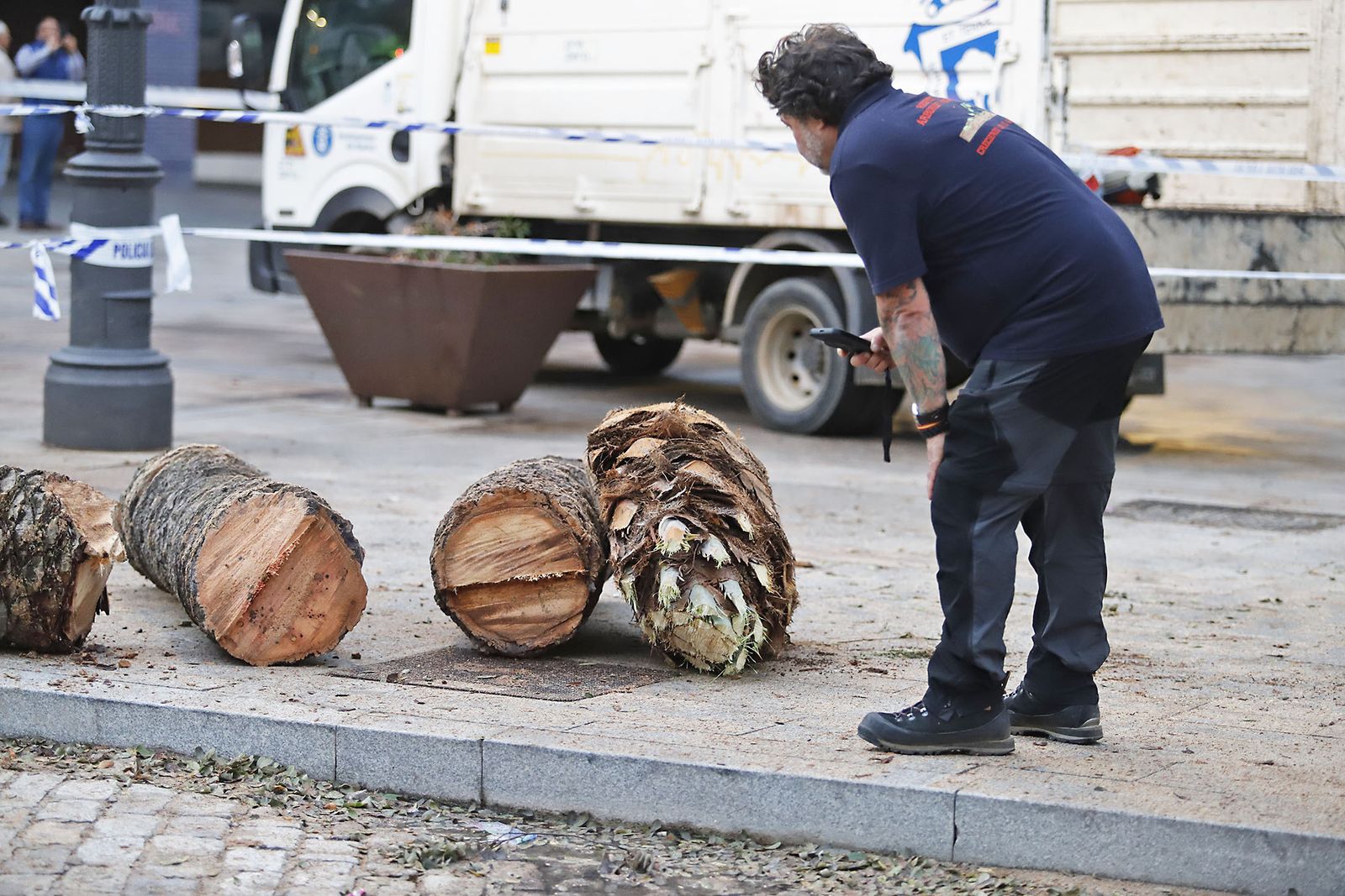 Imágenes de la tala de la emblemática Palmera de Huelva