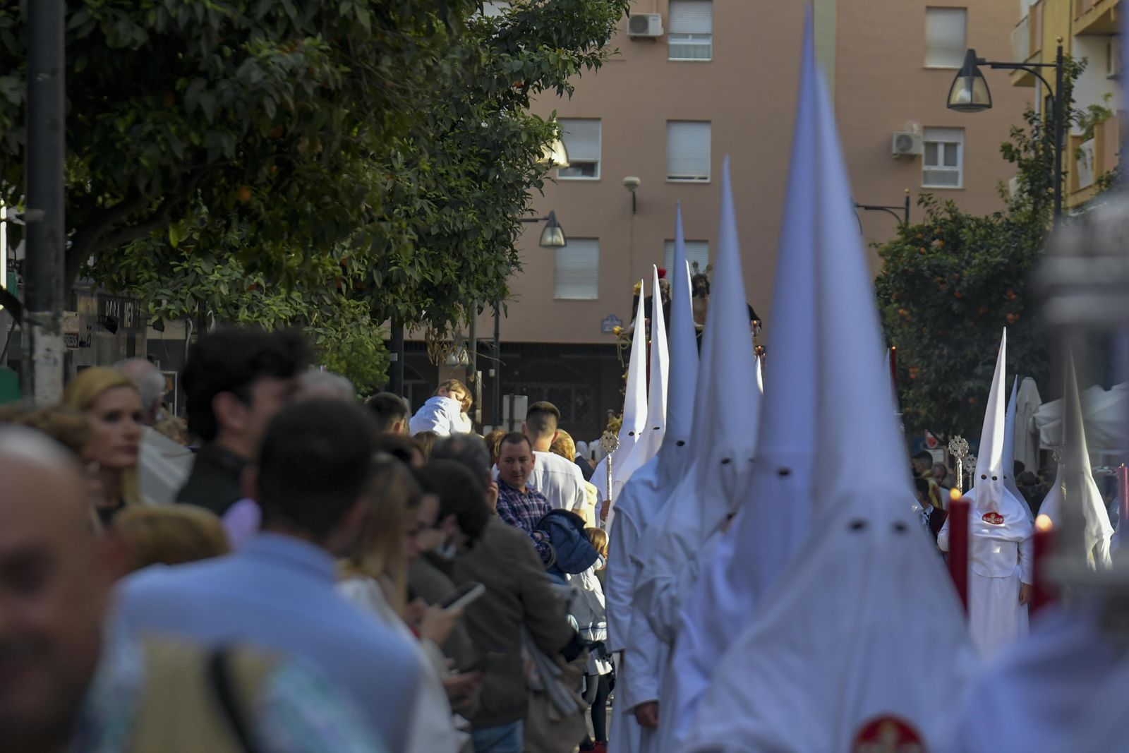 Fotos de El Despojado en el Domingo de Ramos de la Semana Santa de Granada