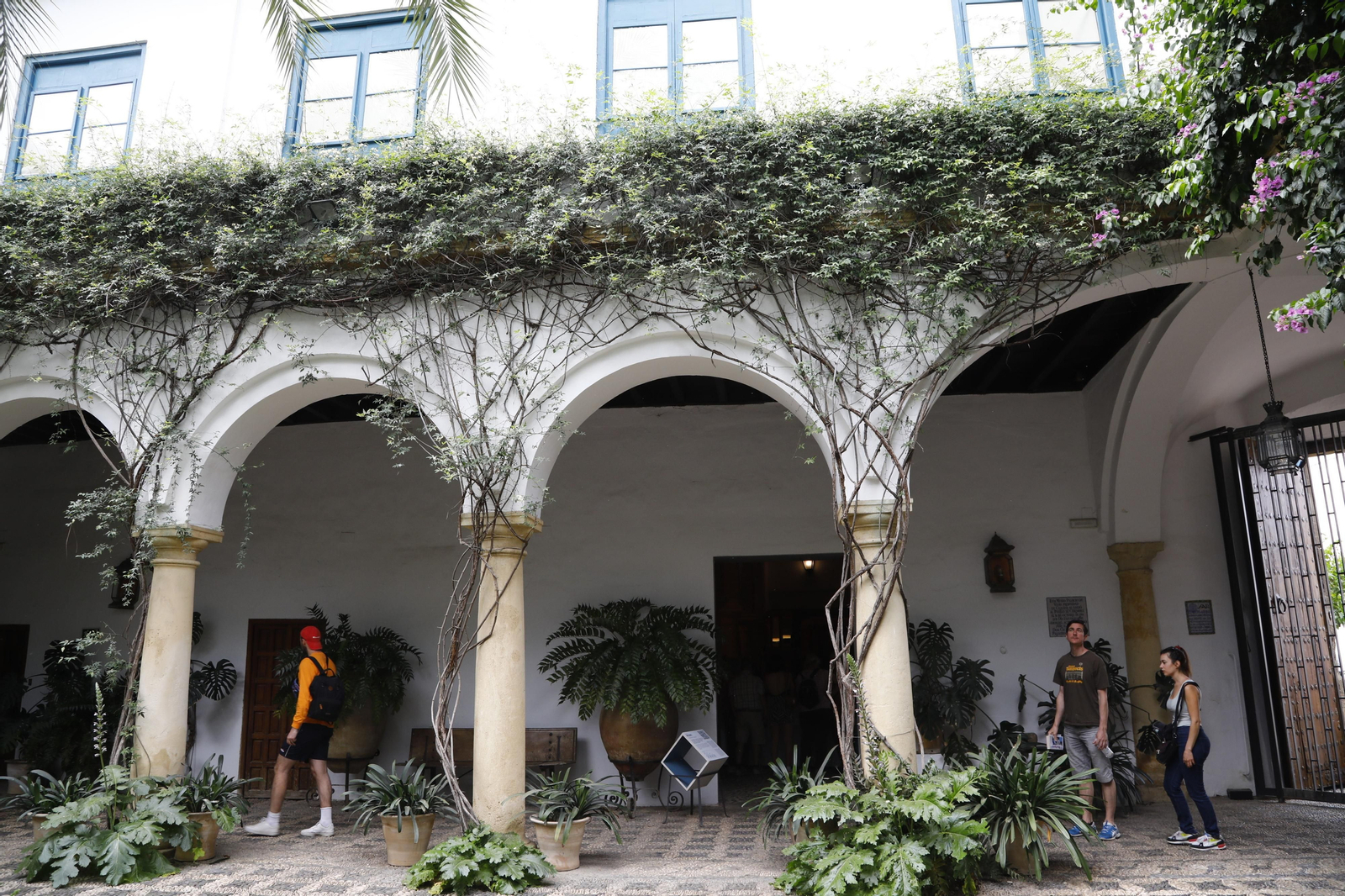 La jornada de puertas abiertas en el Palacio de Viana de Cordoba, en imágenes