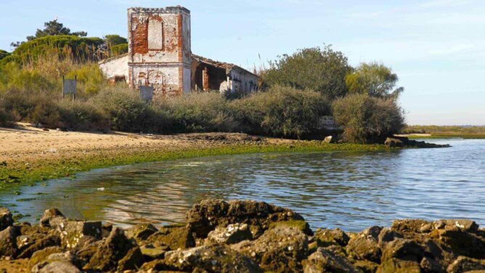 Conoce el paraje natural de Nueva Umbría con este bello sendero.