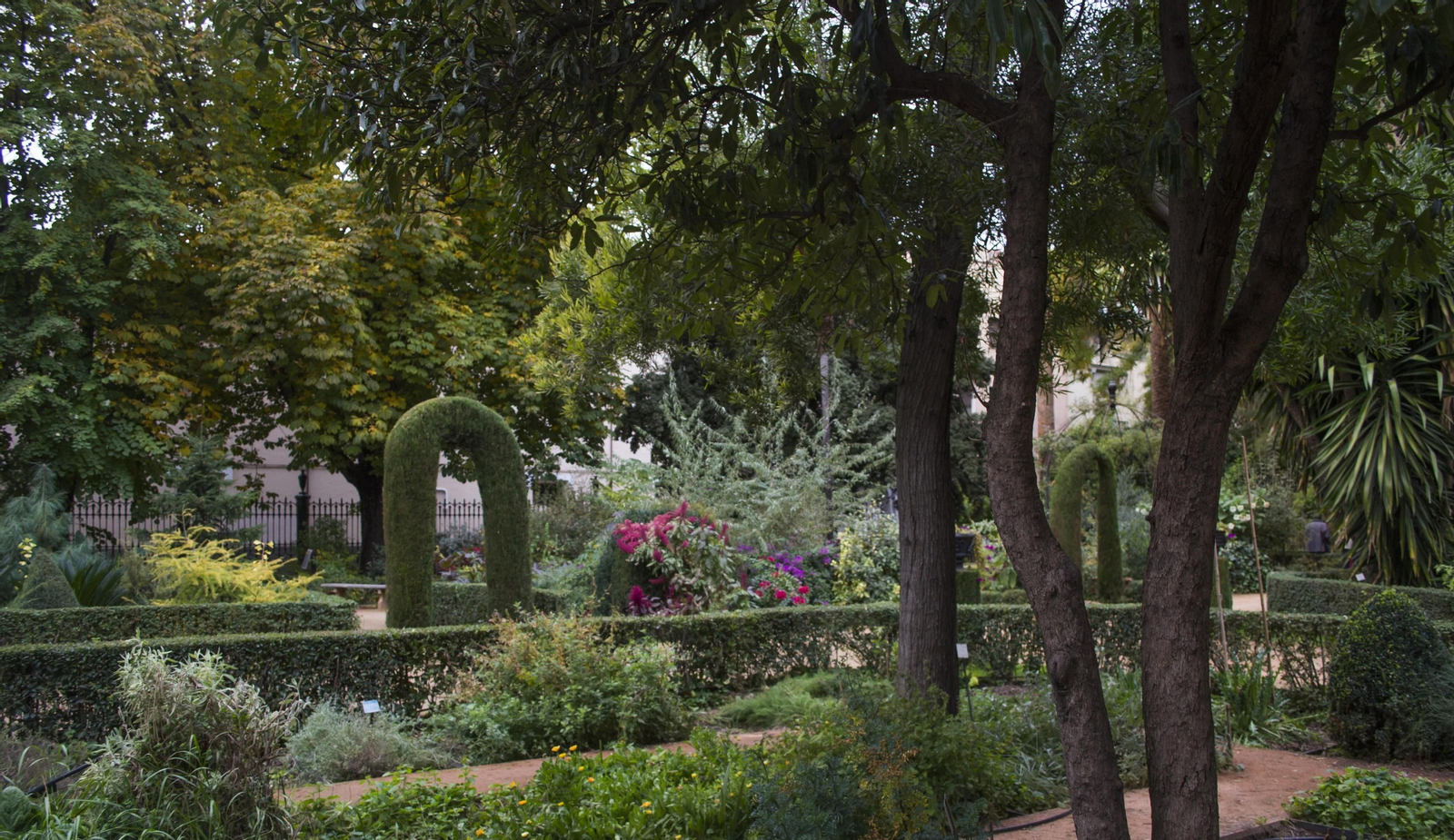 Jardín Botánico de Granada, de la Facultad de Derecho