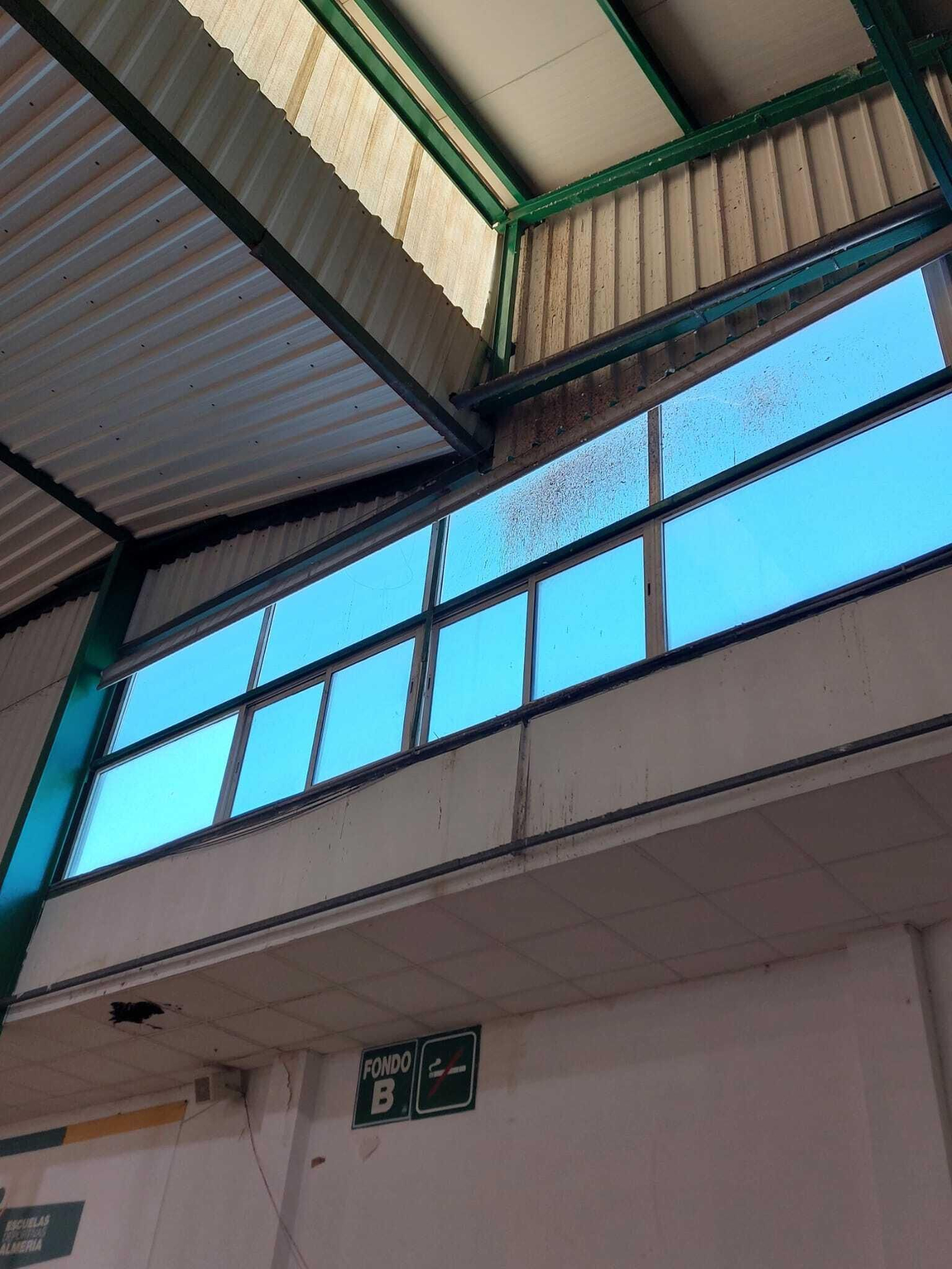 El pabellón de los horrores