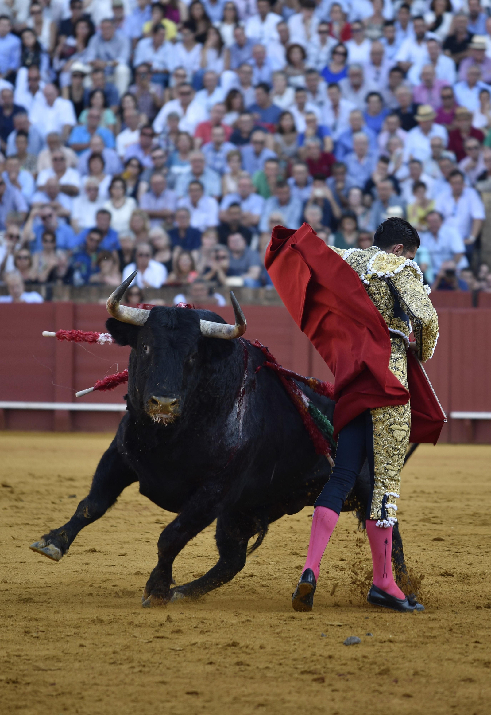 La segunda corrida de la Feria de San Miguel, en imágenes