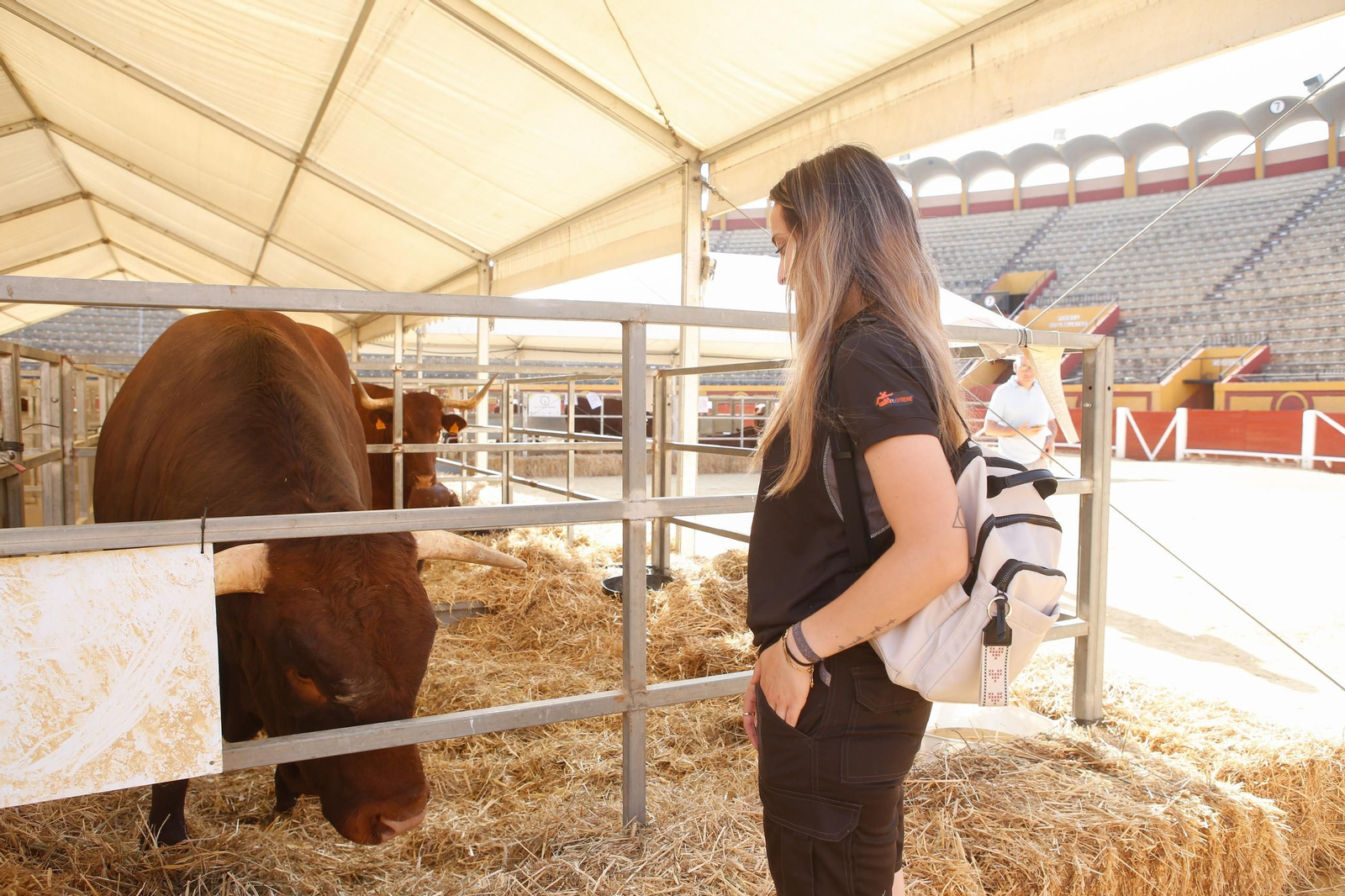 Fotos de la 147 feria del ganado en Algeciras