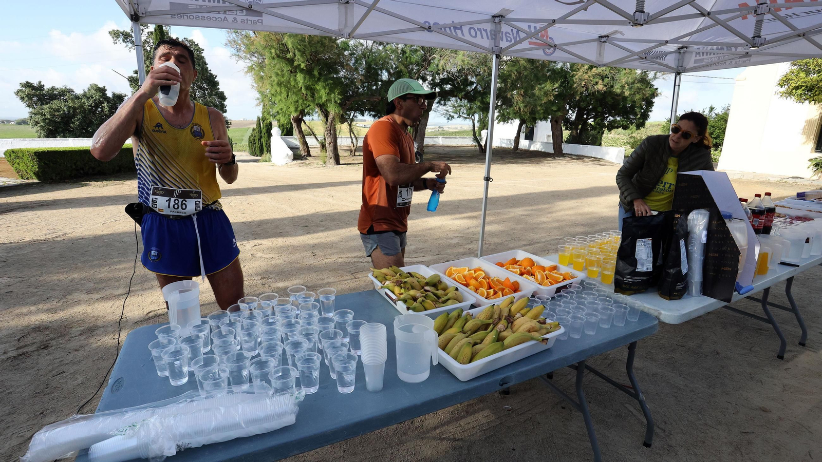 Búscate en la Sherry Maratón 2025 de Jerez (I)