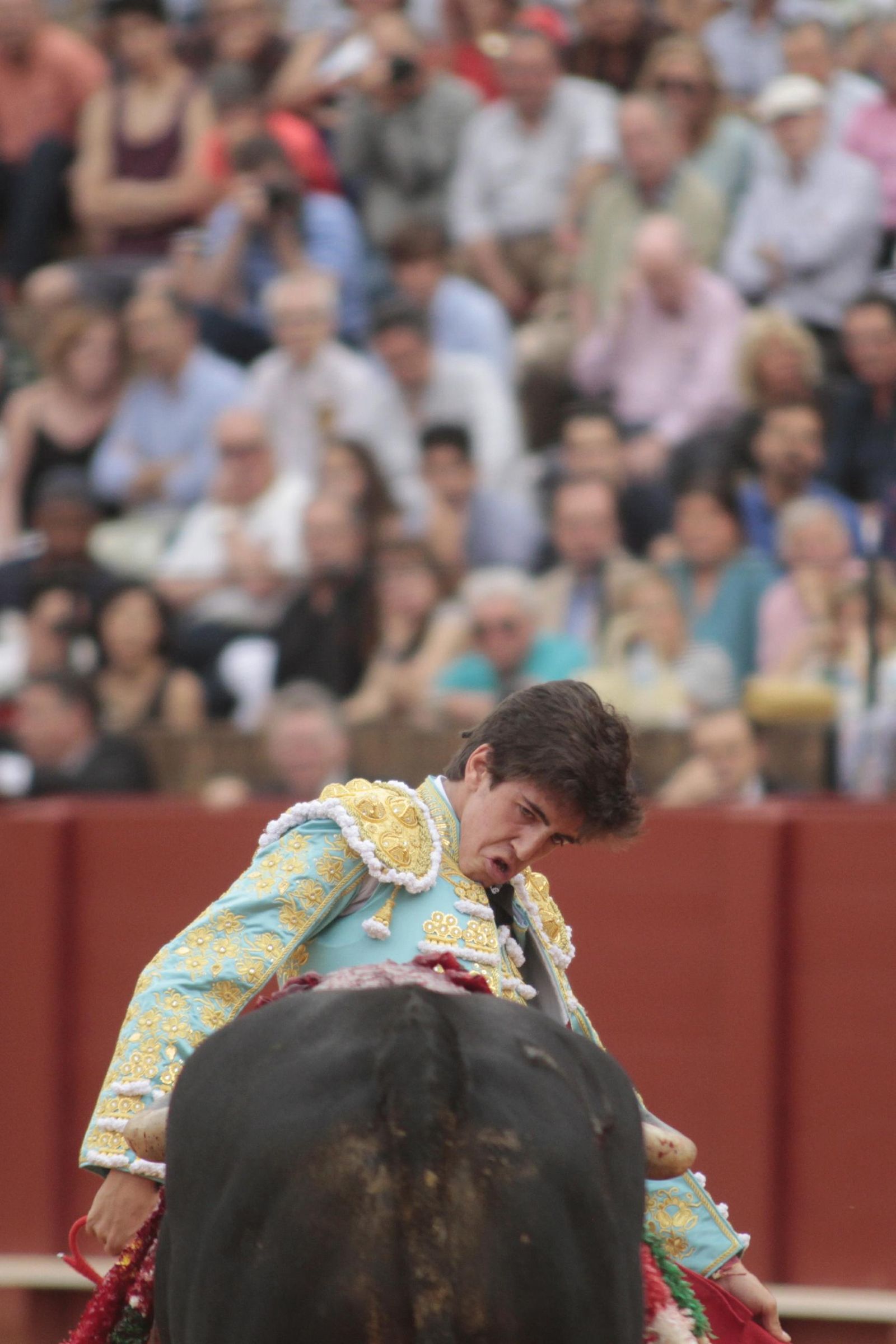 Las imágenes de la decimosexta de abono de La Maestranza