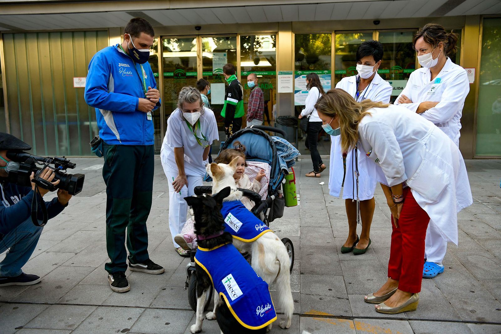 Fotos de los perros que sirven de terapia a los niños del Maternal de Granada
