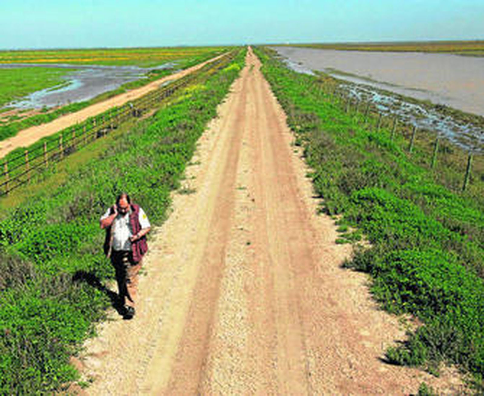 Las marismas de Doñana forman parte de la biodiversidad del Guadalquivir.