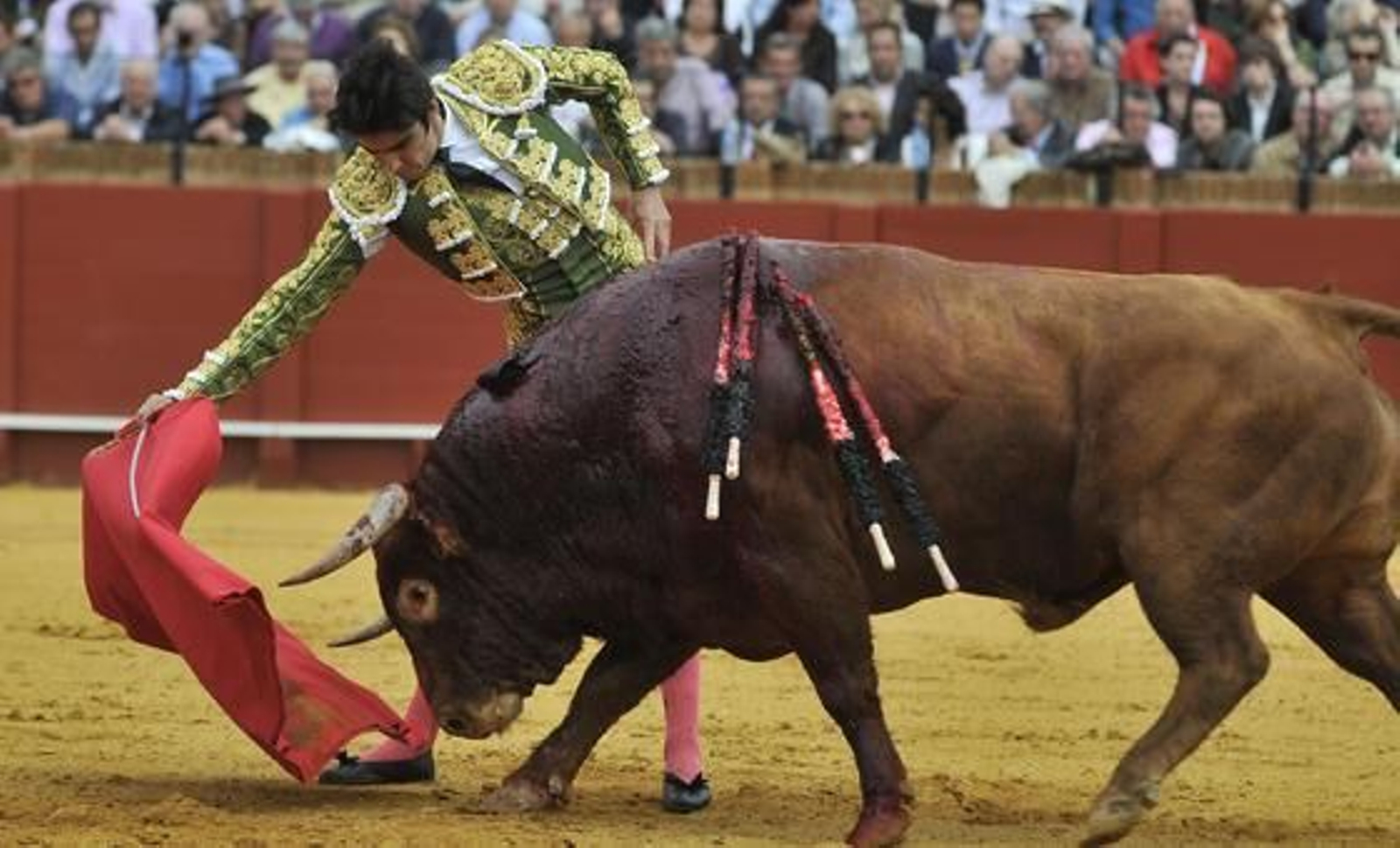 Miguel Ángel Perera toreó al segundo de la tarde.

Foto: Juan Carlos Muñoz