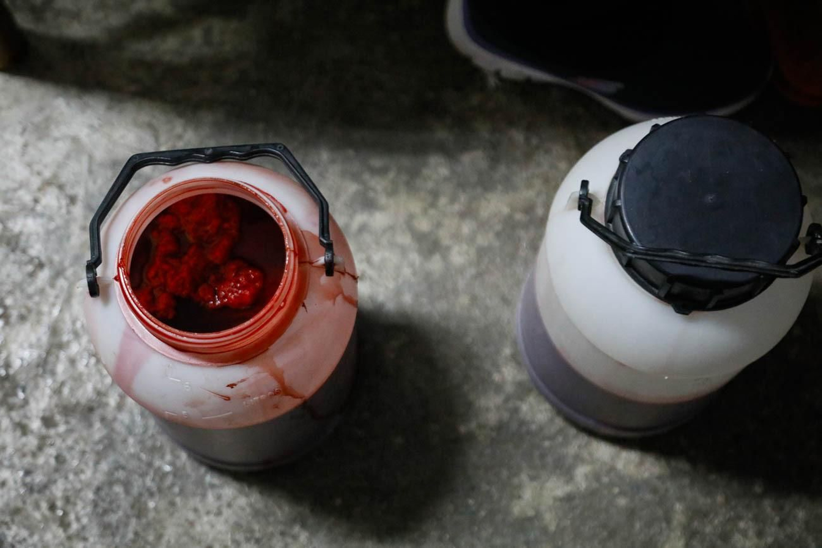 Te contamos en imágenes como son las matanzas en Chirivel