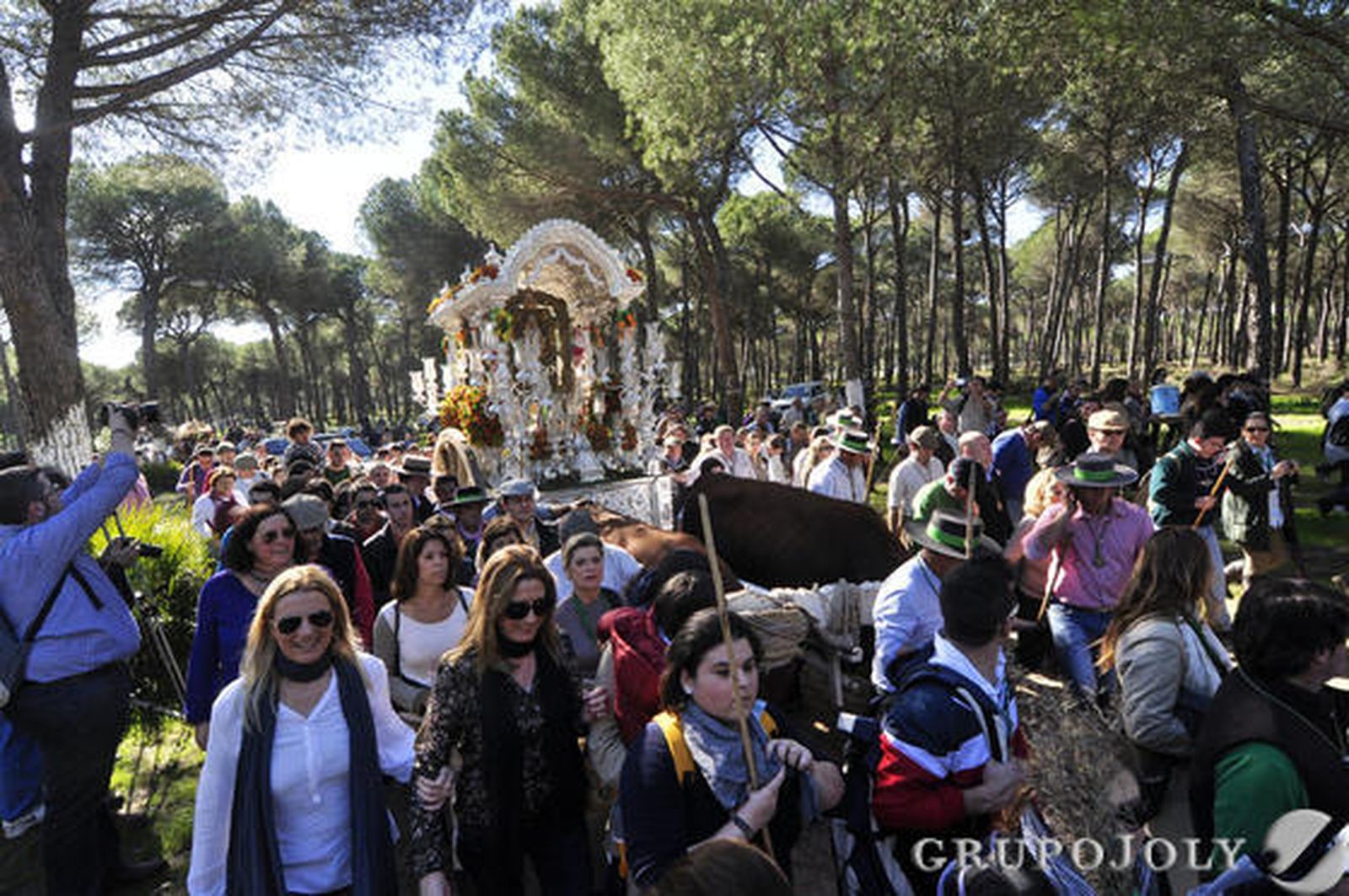 Peregrinación extraordinaria de la Hermandad del Rocío de Triana a Almonte. / Manuel Gómez