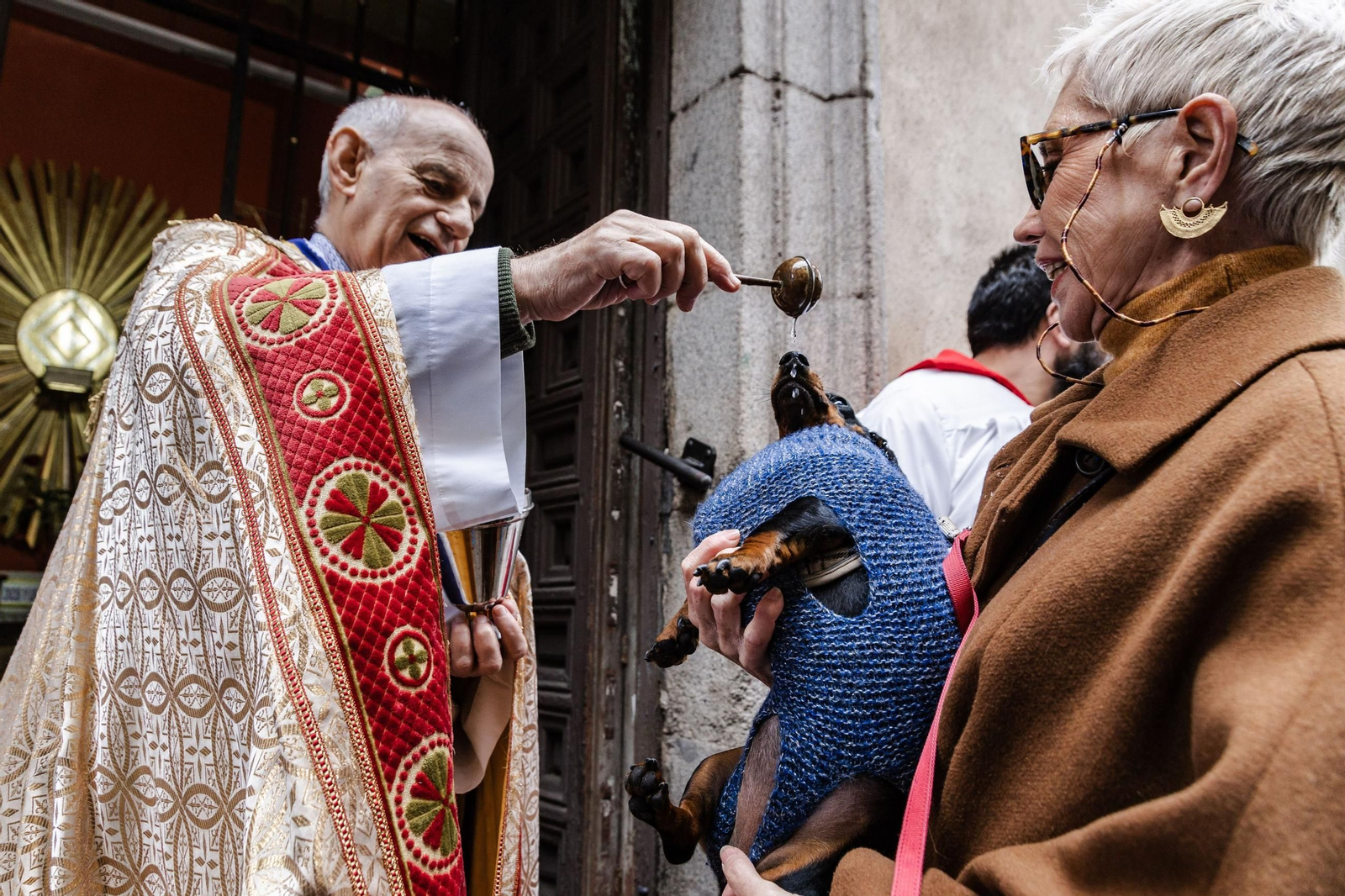 Bendición de mascota Bendición de mascota