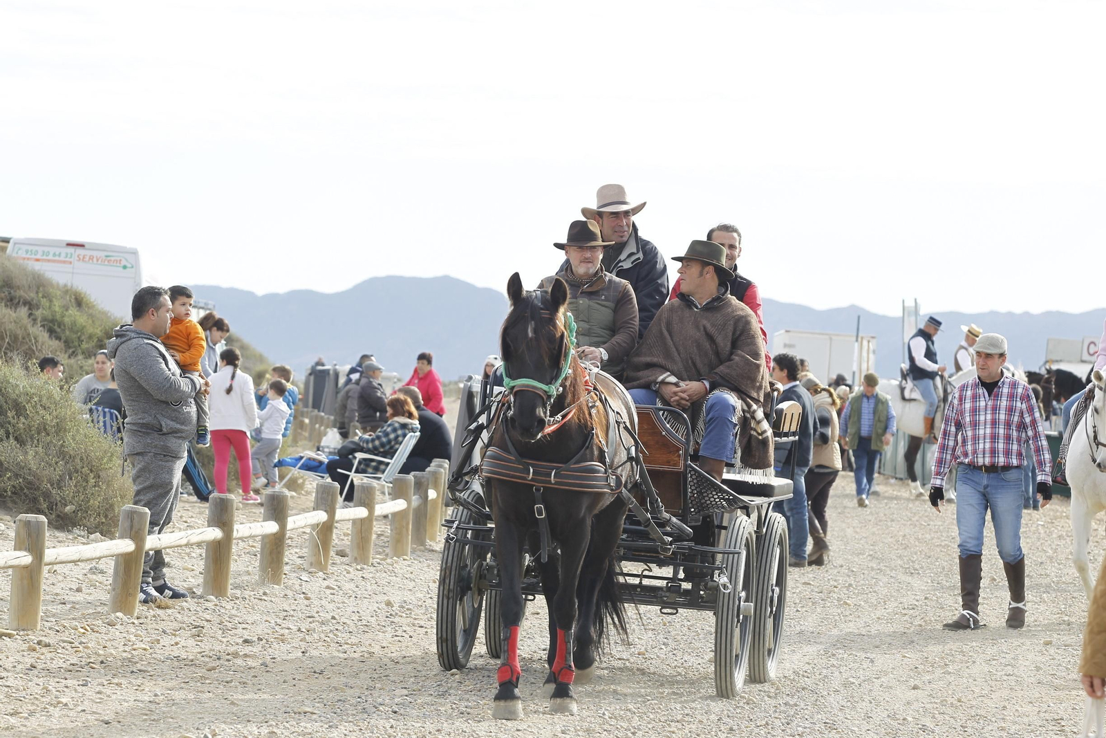 Las imágenes de la Romería de Torregarcía