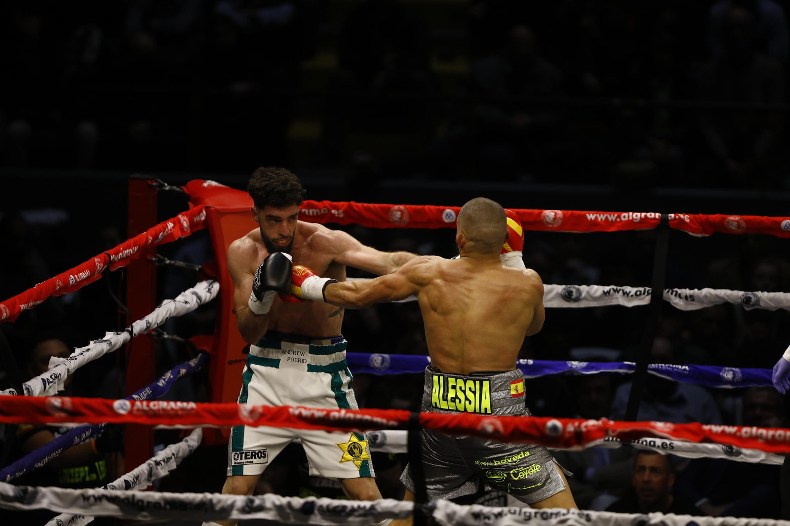 Las imágenes del combate entre José Luis Navarro Jr y Ronny Landaeta en Córdoba