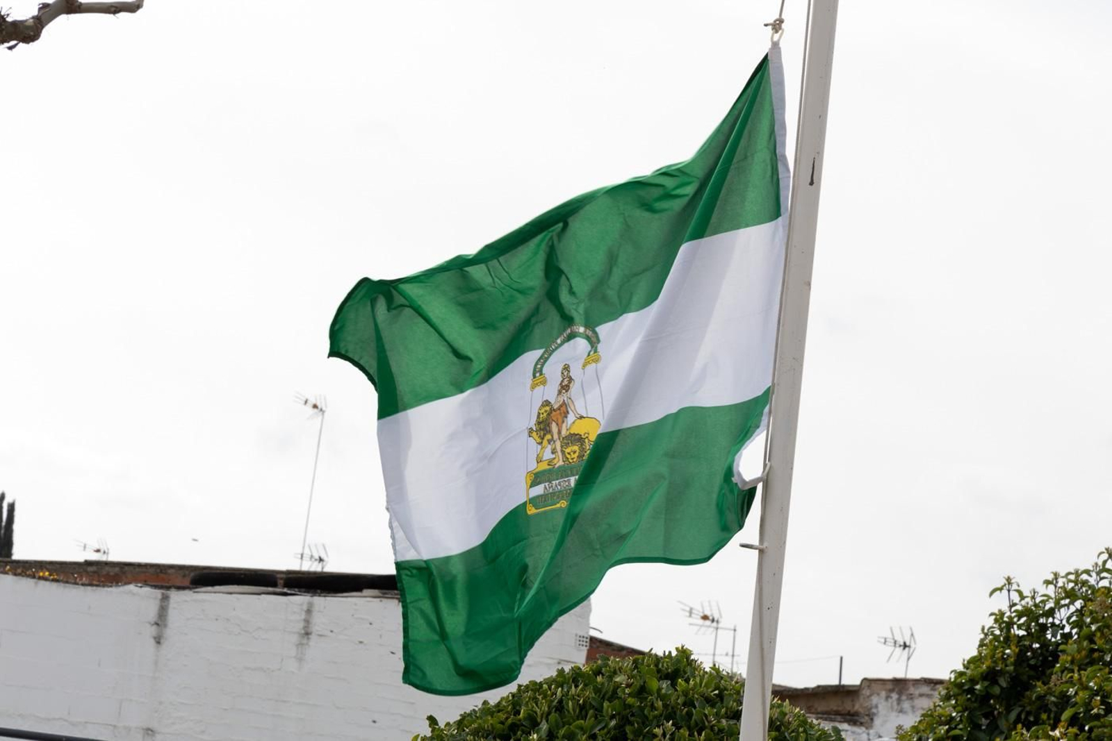 V Carrera Popular y celebración del Día de Andalucía