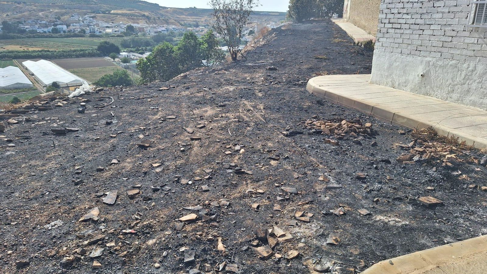 Rastro del incendio. Rastro del incendio.