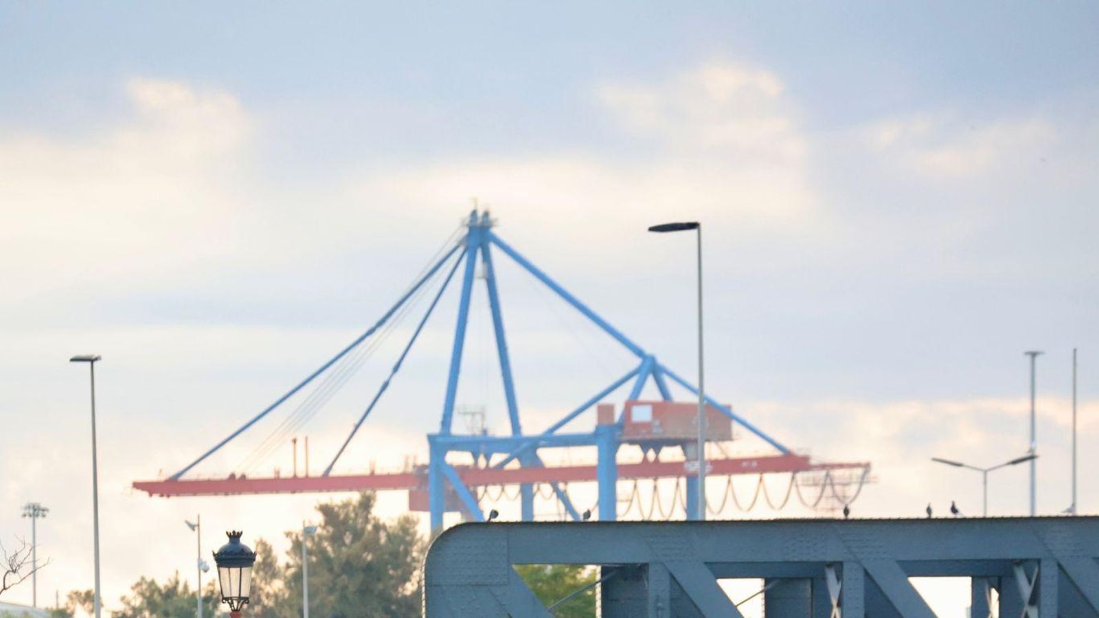 Las mejores fotos de la Maratón de Málaga 2024