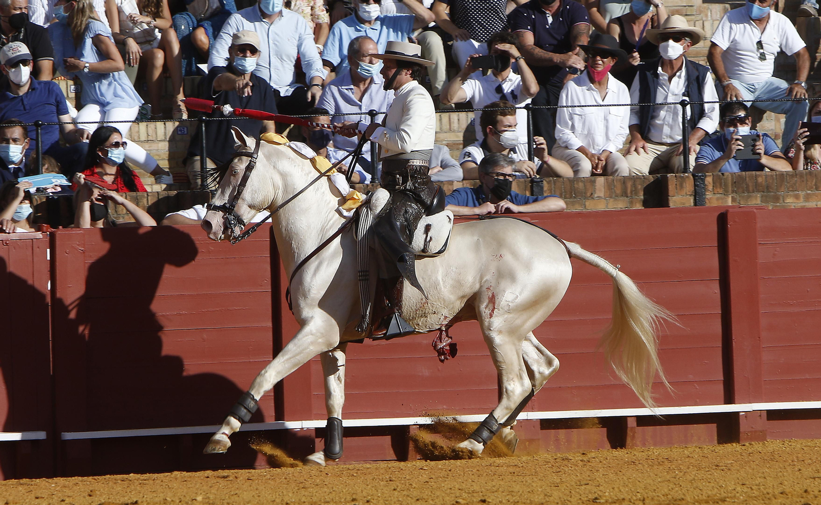 Toros. Corrida de rejones