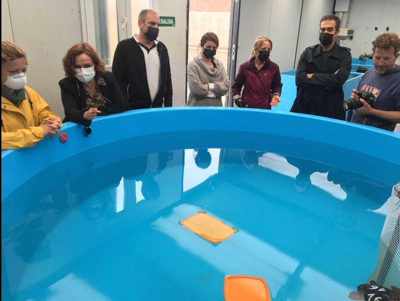 La Junta liberará este verano las tortugas bobas nacidas en la playa de Mojácar en agosto