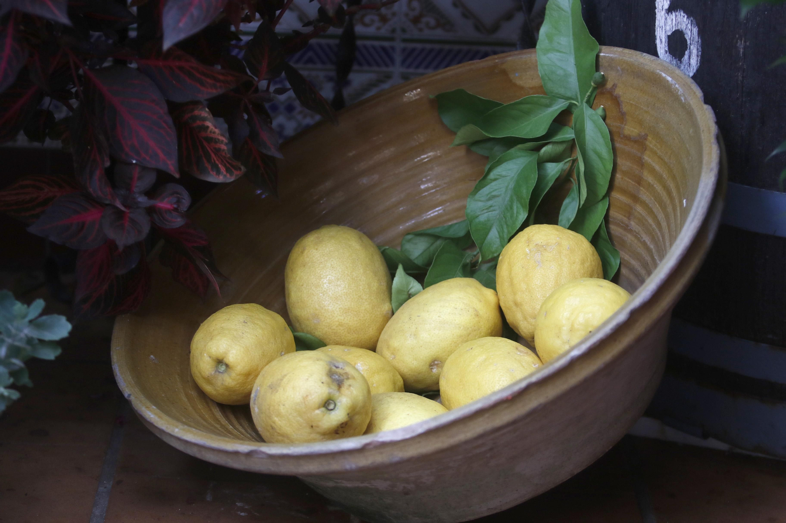 Ruta San Lorenzo de los Patios de Córdoba, en imágenes