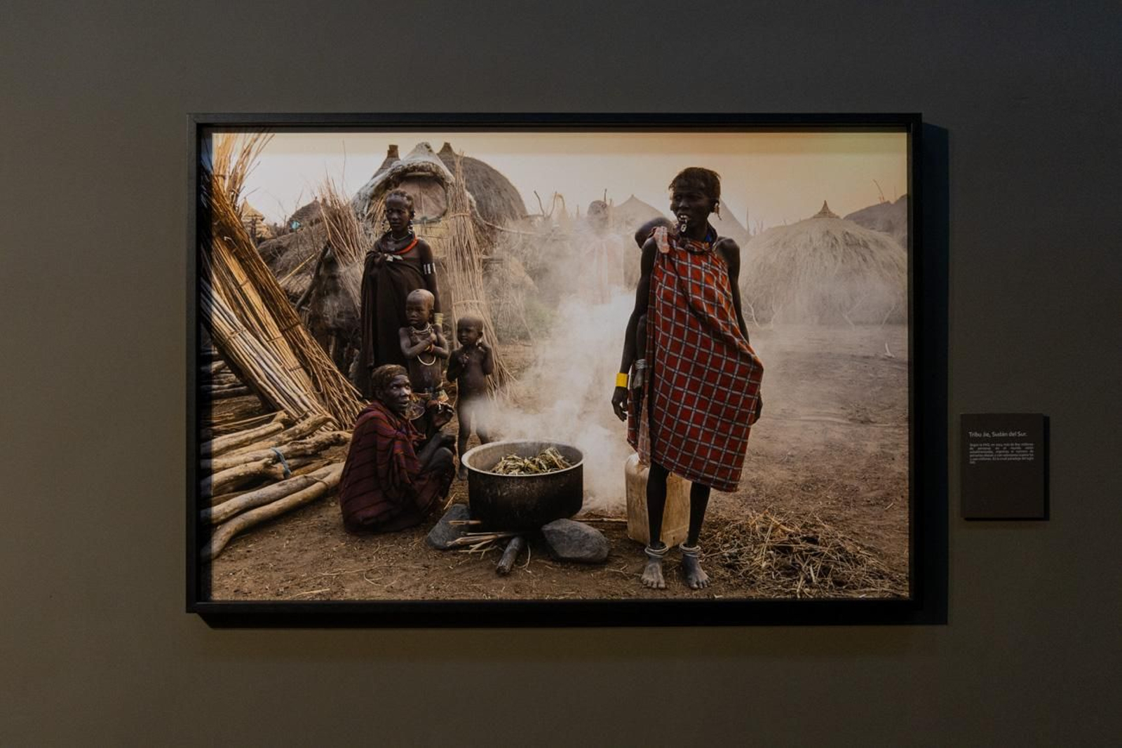 One Health en imágenes: la fotogalería de Katy Gómez que te hará reflexionar sobre la salud global