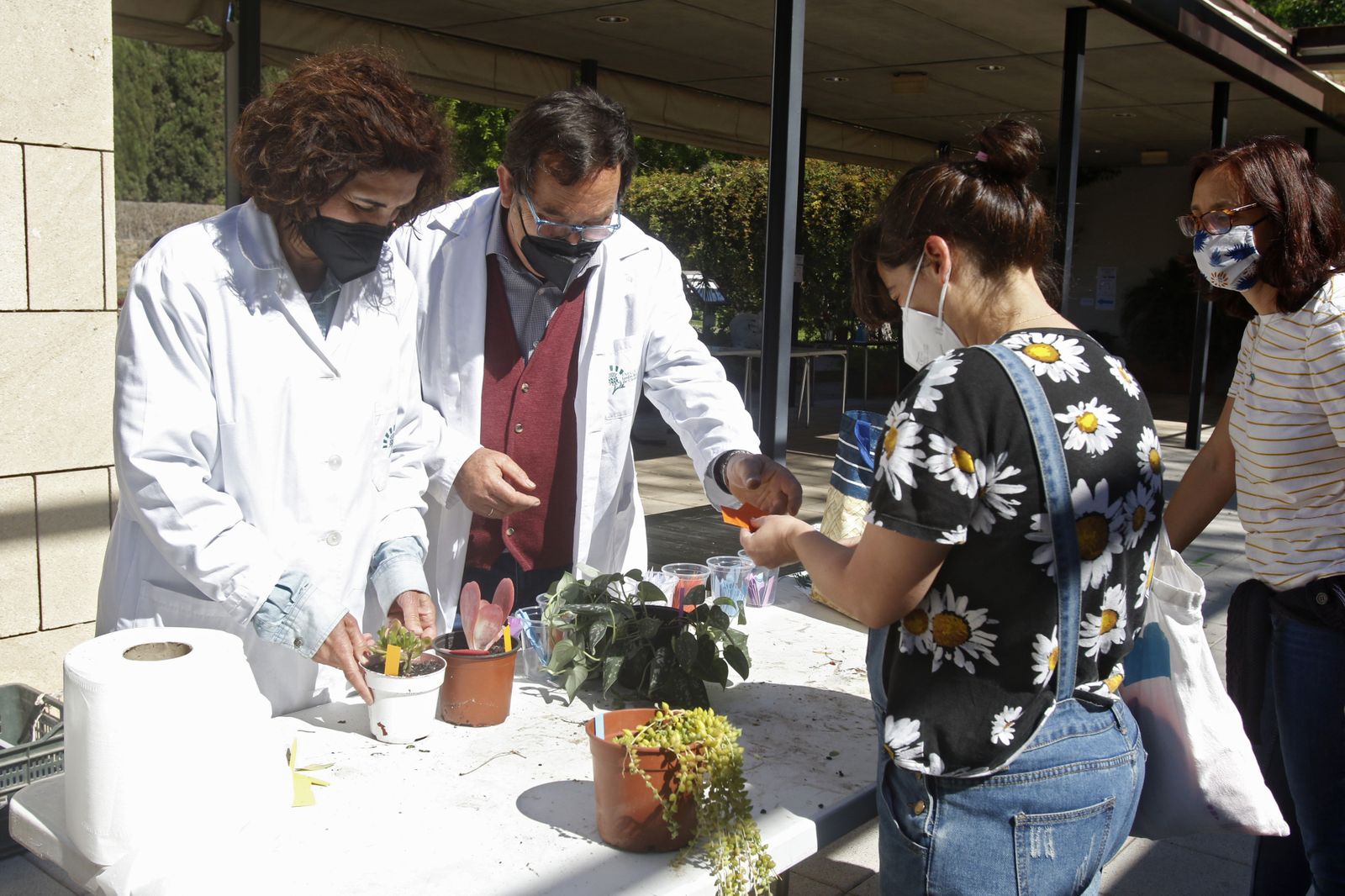 El Mercado de trueque de plantas del Jardín Botánico de Córdoba, en imágenes