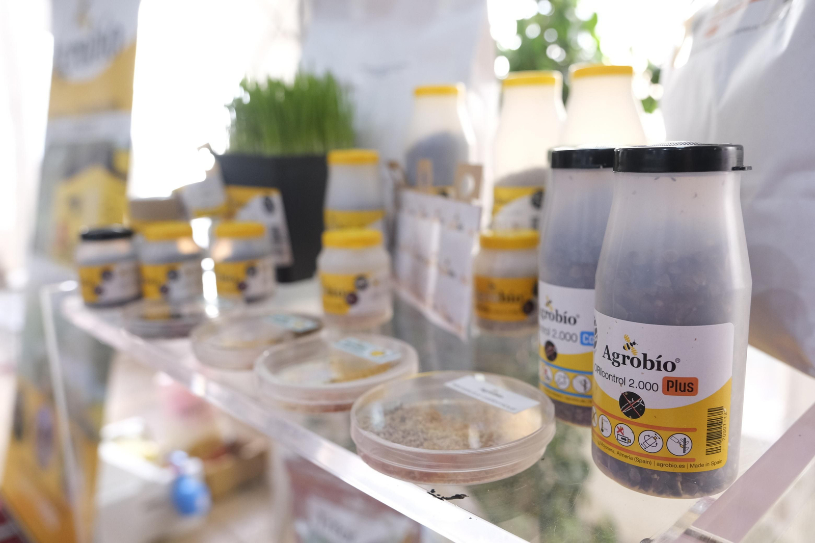 Fotogalería Jornadas de Pimiento Temprano. Dalías (Almería)