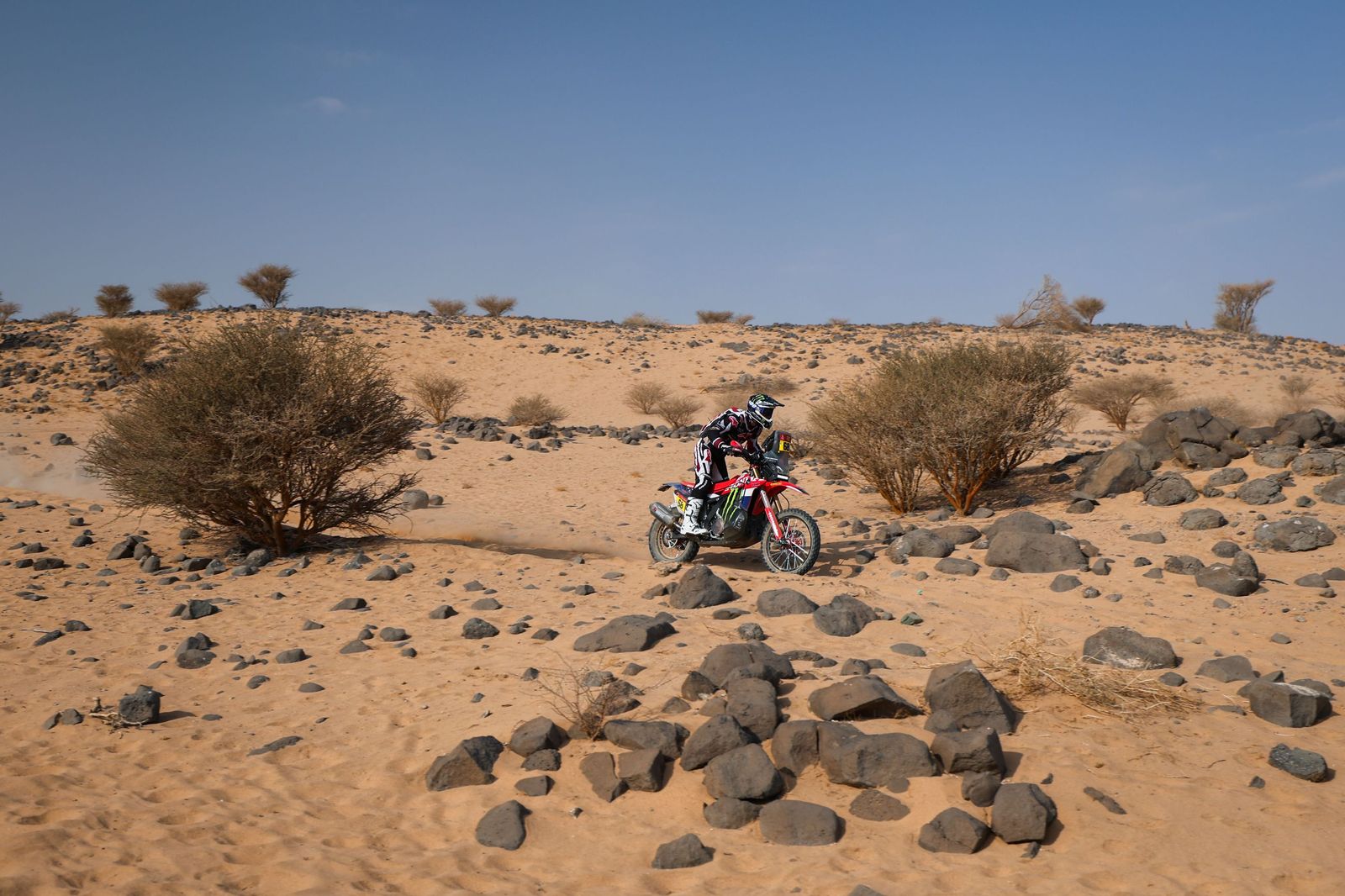 Las mejores fotos del Rally Dakar | undécima etapa