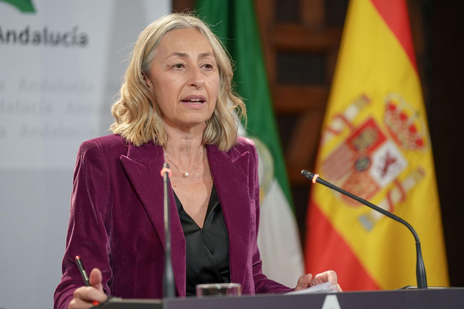 La consejera de Salud durante su intervención tras el Consejo de Gobierno.