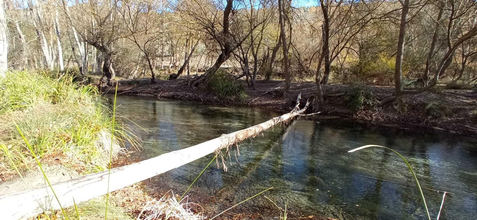 Las imágenes de la ruta del Bosque Encantado de Higueras