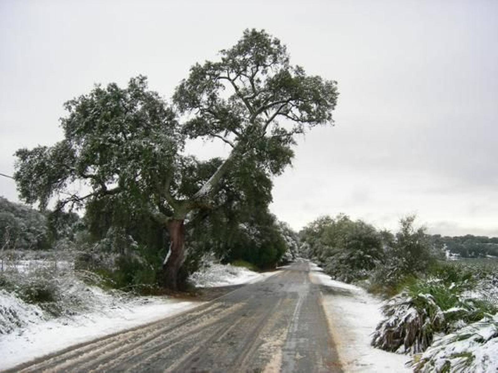 Nieve en Peñaflor./ José Manuel Higuera