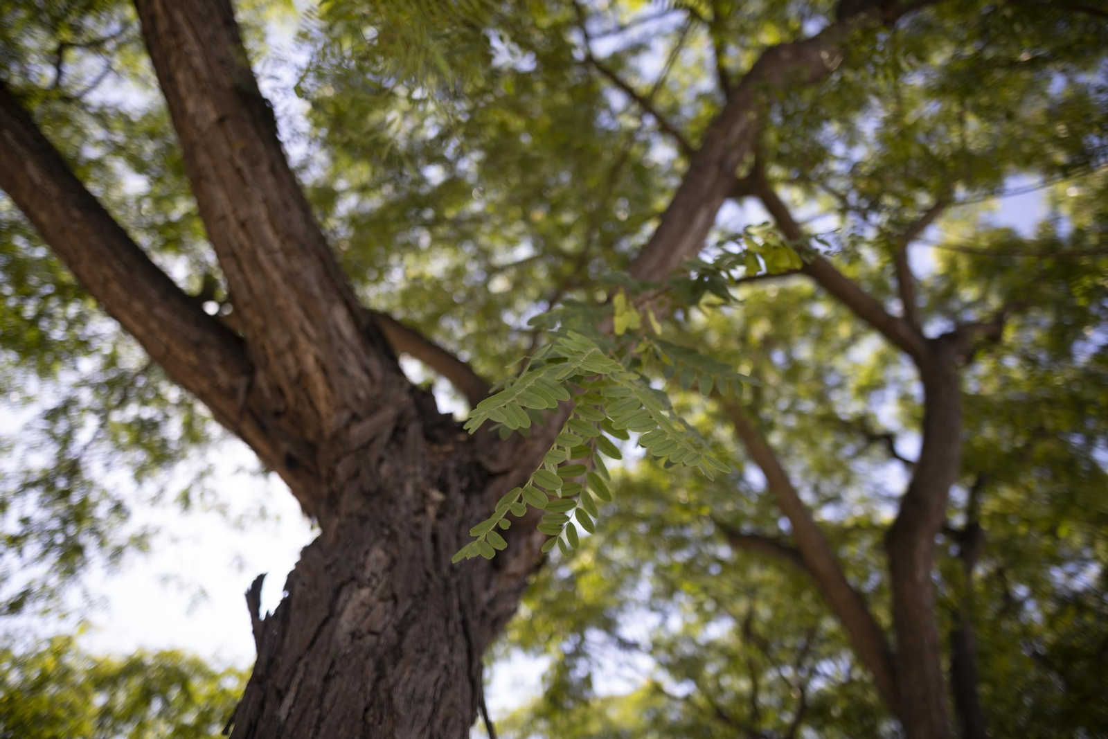 Imágenes del viernes 5 de agosto en Huelva