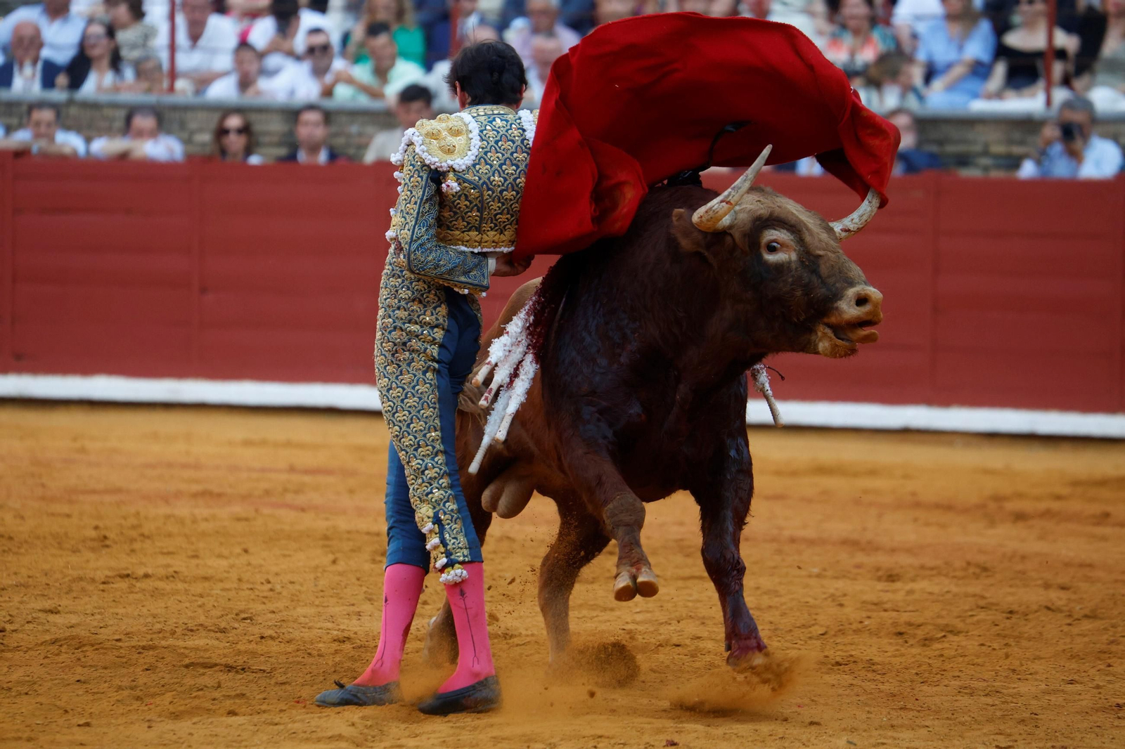 Manuel Román, Juan Ortega y Roca Rey, en la plaza de toros de Córdoba