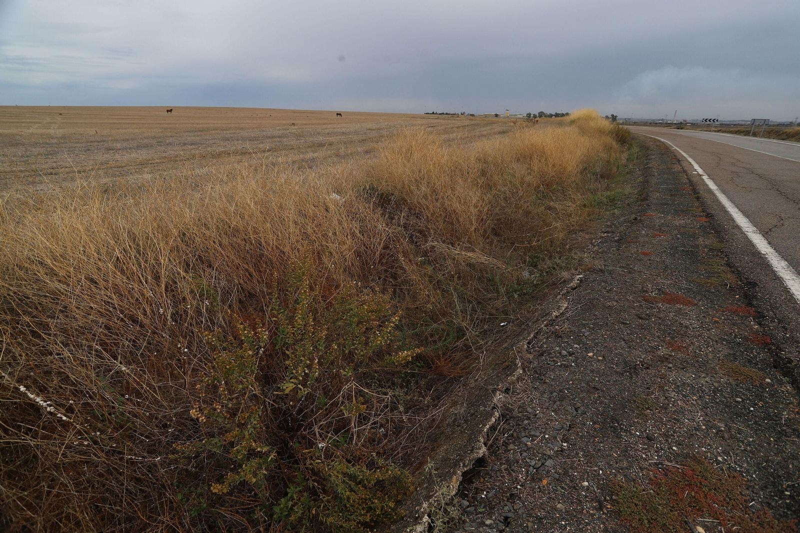 Carretera que lleva a la prisión de Huelva, donde ha fallecido el ciclista. Carretera que lleva a la prisión de Huelva, donde ha fallecido el ciclista.