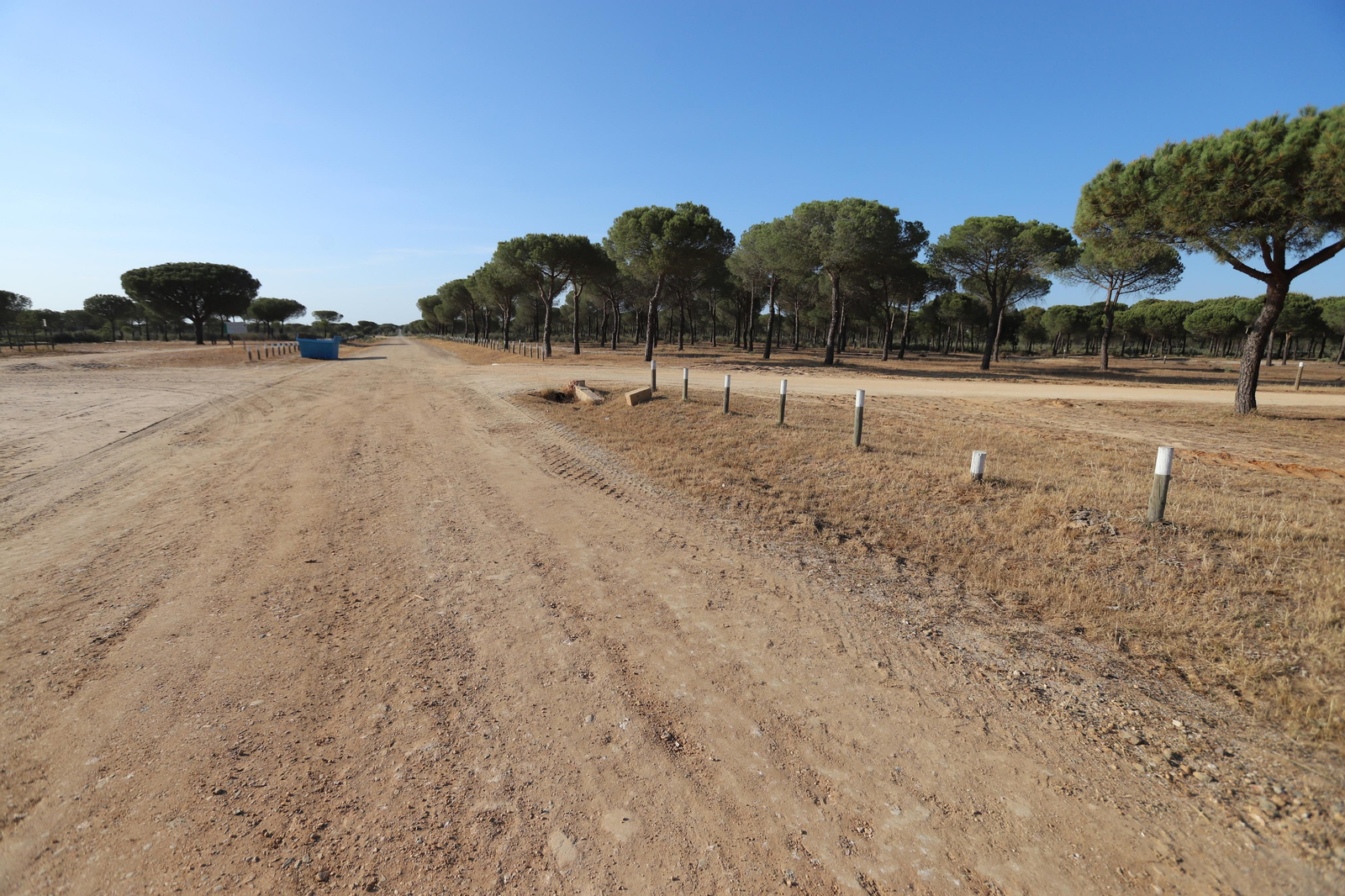 Imágenes del estado en el que se encuentran los caminos del Rocío para la Romería 2023