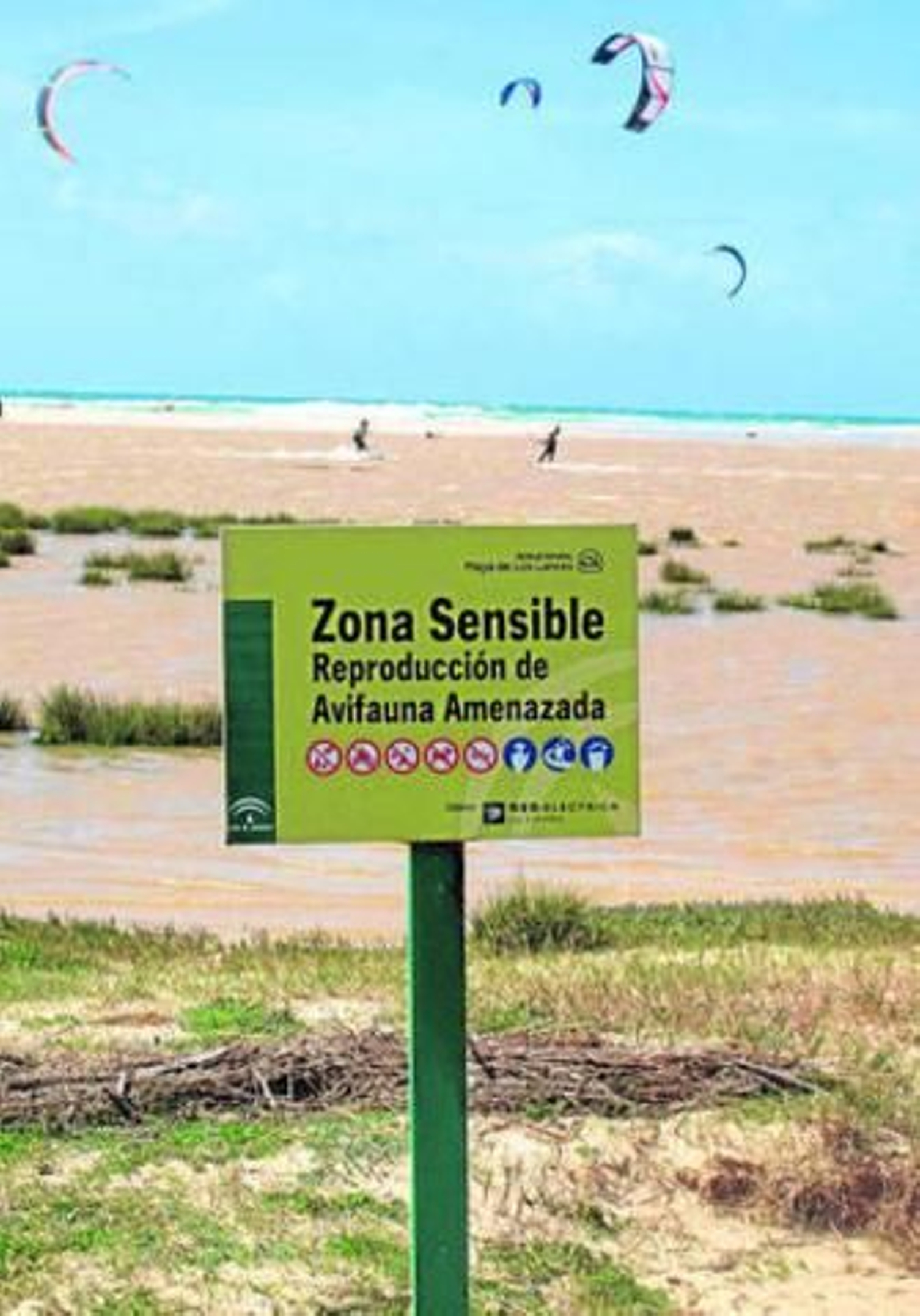 Imagen de la laguna de Los Lances, en Tarifa.