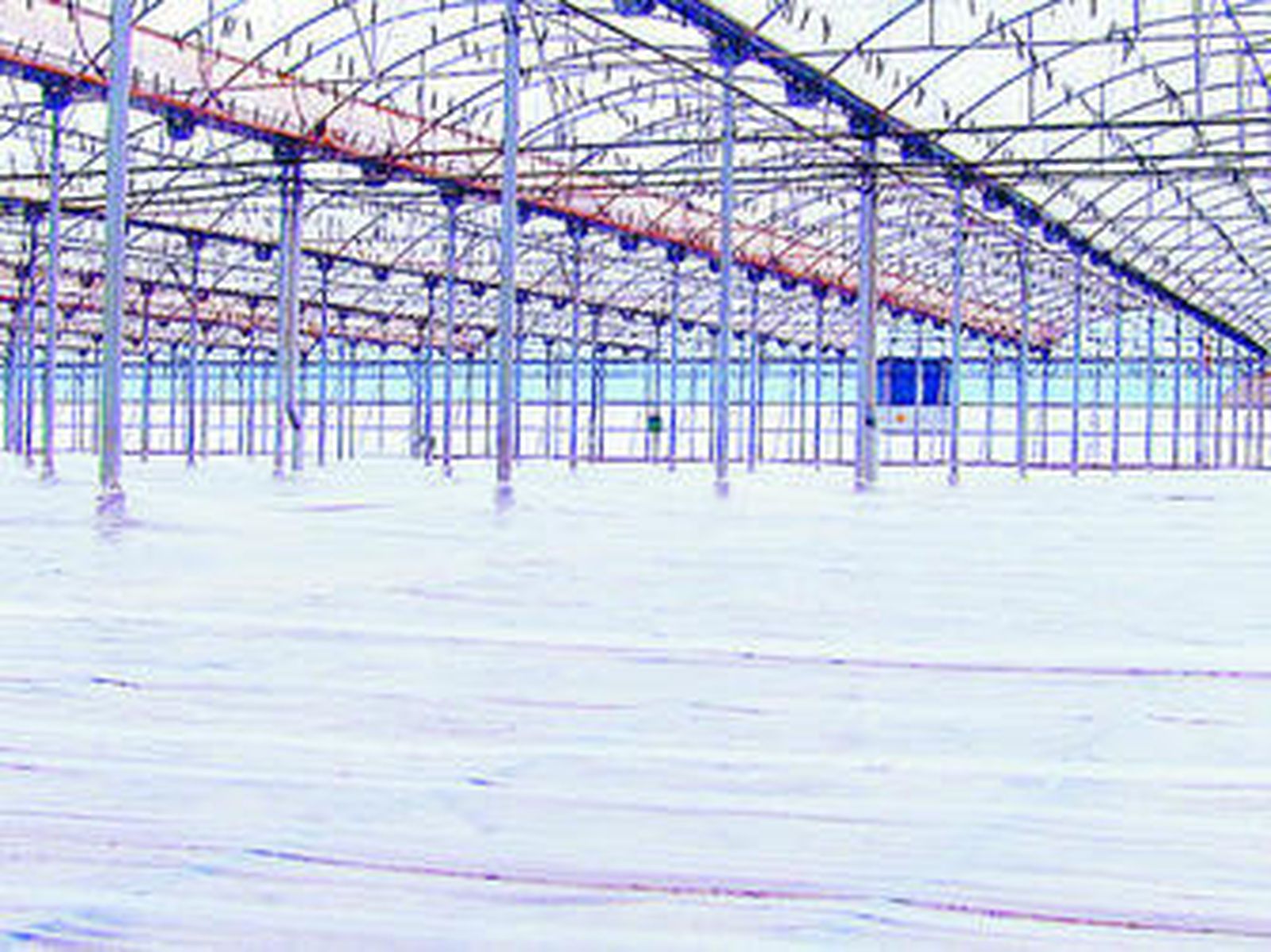 La empresa ejidense está especializada en la construcción de superficies invernadas de tipo 'multitúnel'.