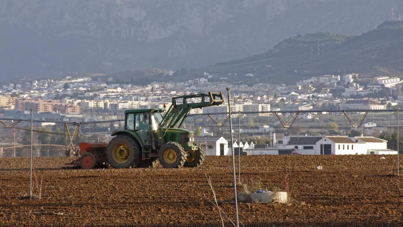 Tractor trabajando en la Vega de Antequera