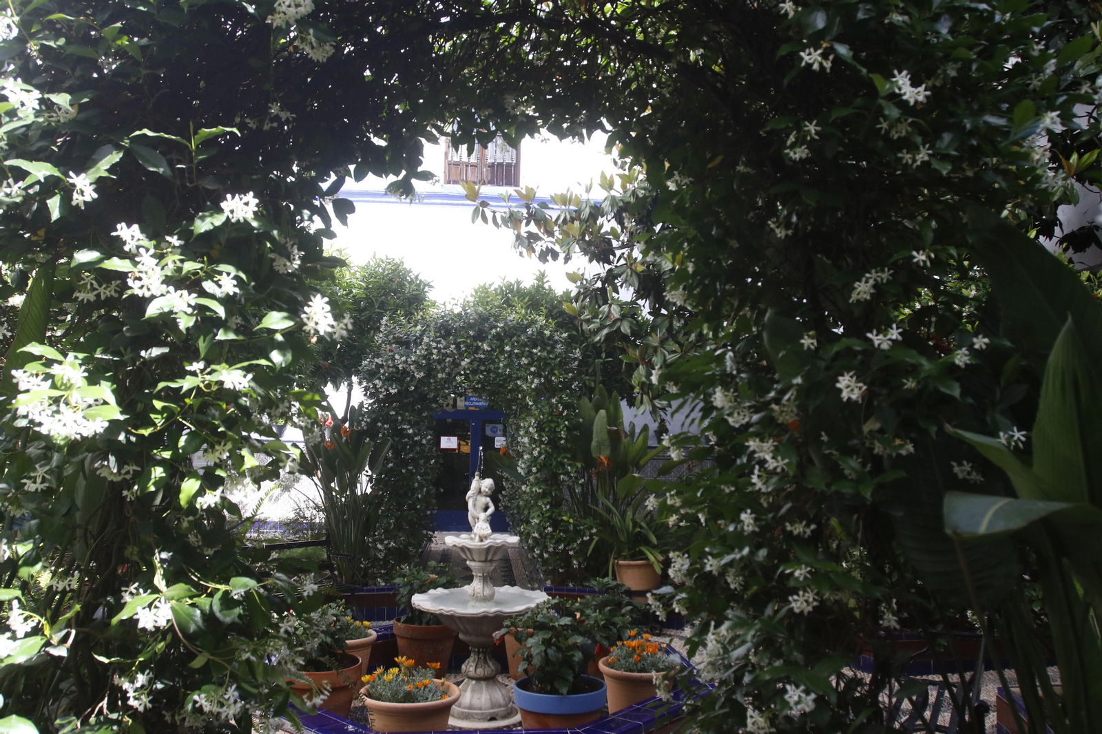 Ruta Judería - San Francisco de los Patios de Córdoba, en imágenes