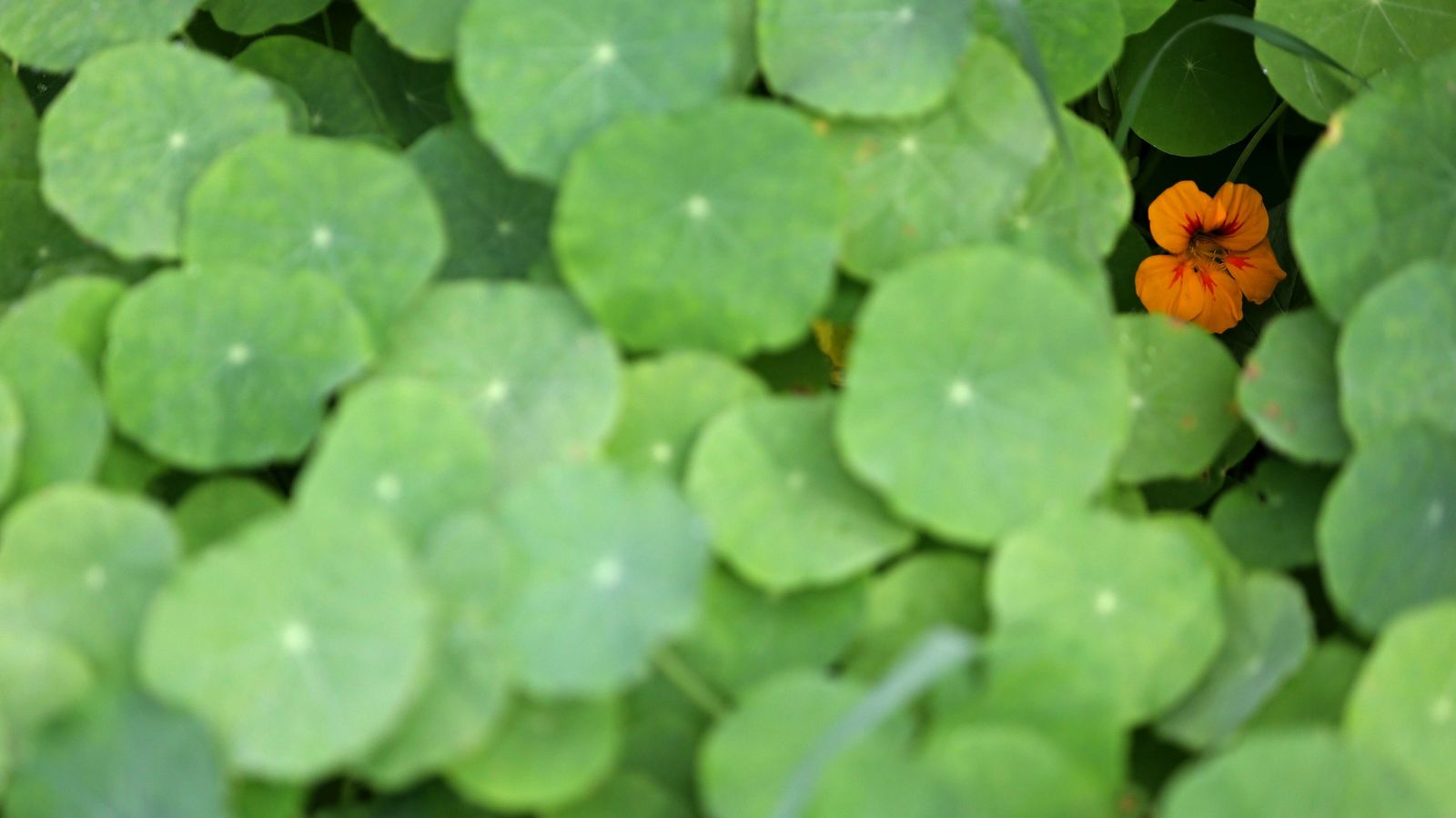 Las mejores fotos del parque fluvial del Río Pícaro