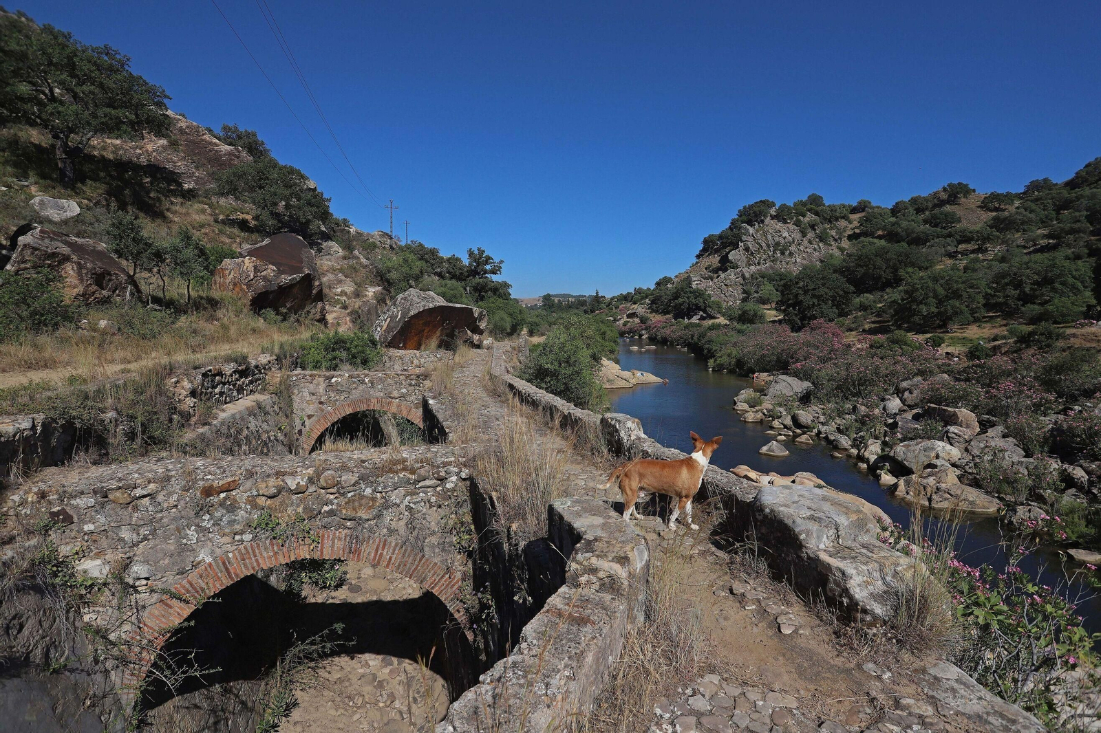 Ruta río Hozgarganta Ruta río Hozgarganta