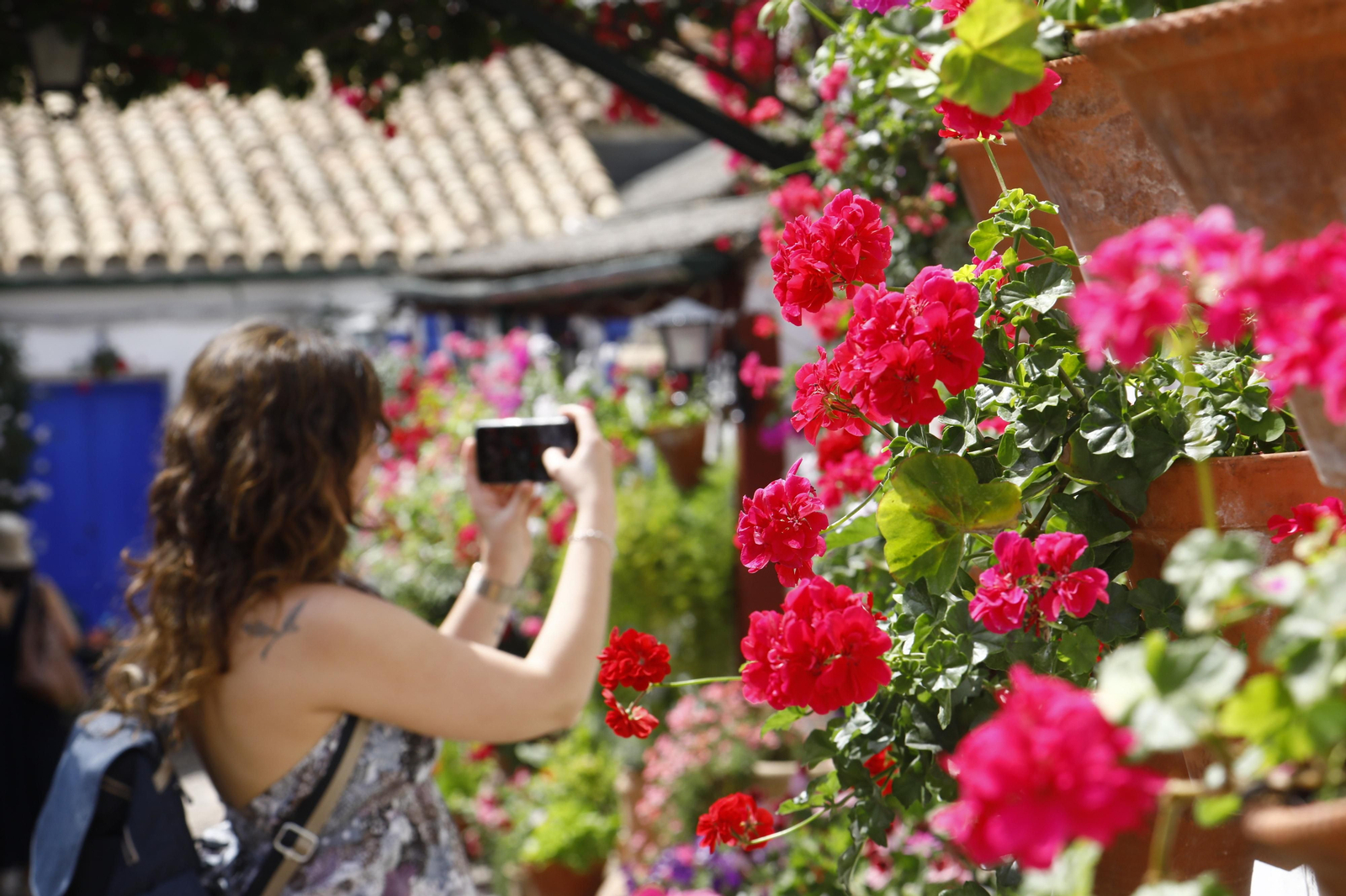 El primer día de Patios en Córdoba, en imágenes